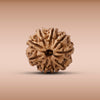 9 Mukhi