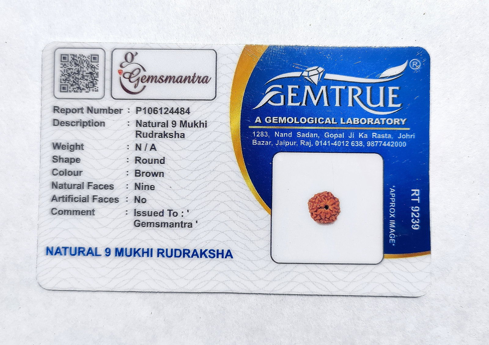 9  Mukhi Rudraksha (Indonesian Bead) - Gemsmantra