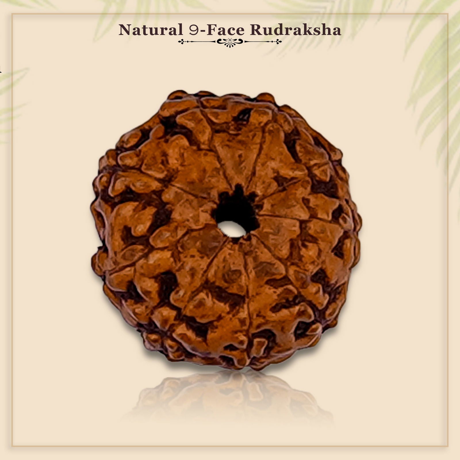 9  Mukhi Rudraksha (Indonesian Bead) - Gemsmantra