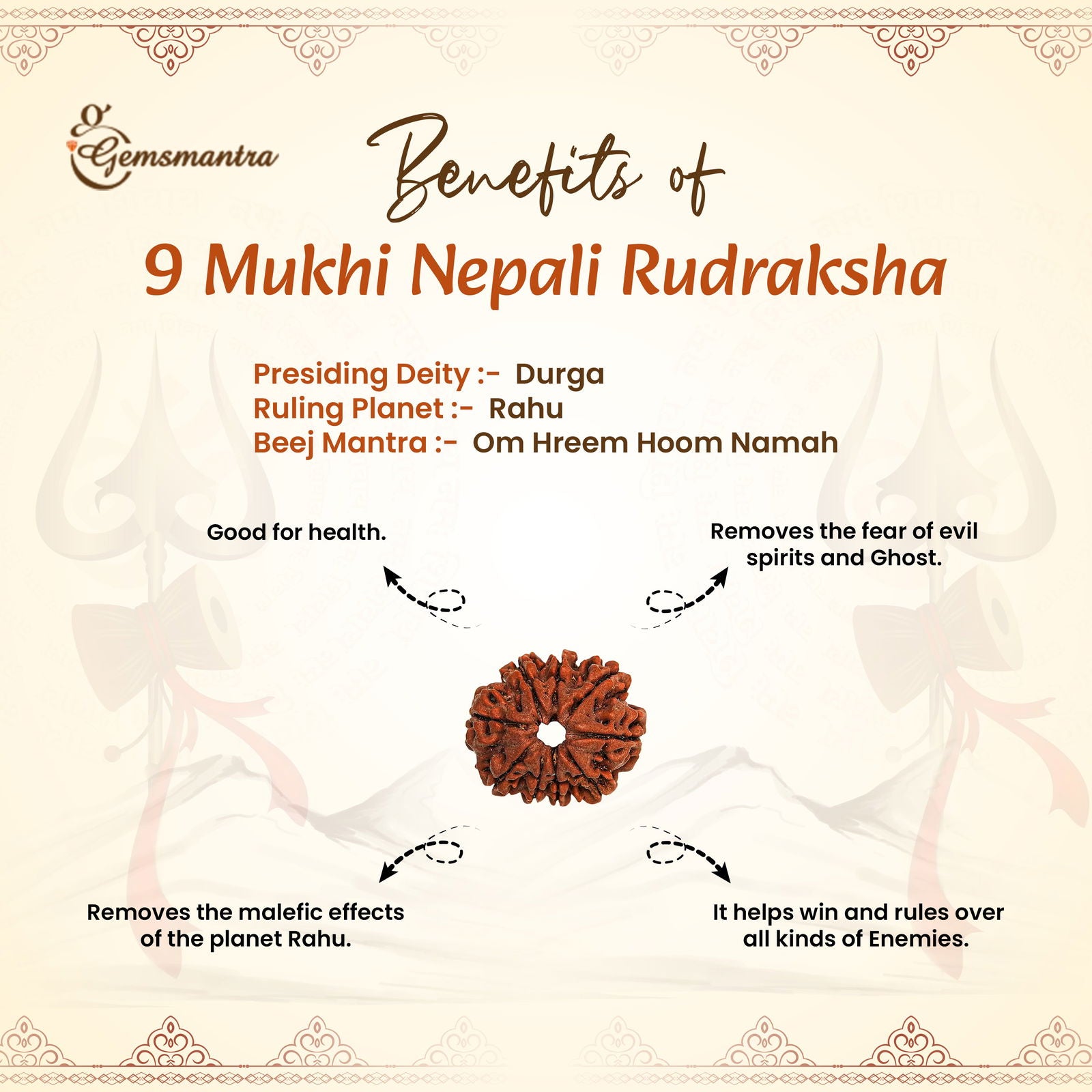 9 Mukhi Rudraksha (Nepali) - Gemsmantra