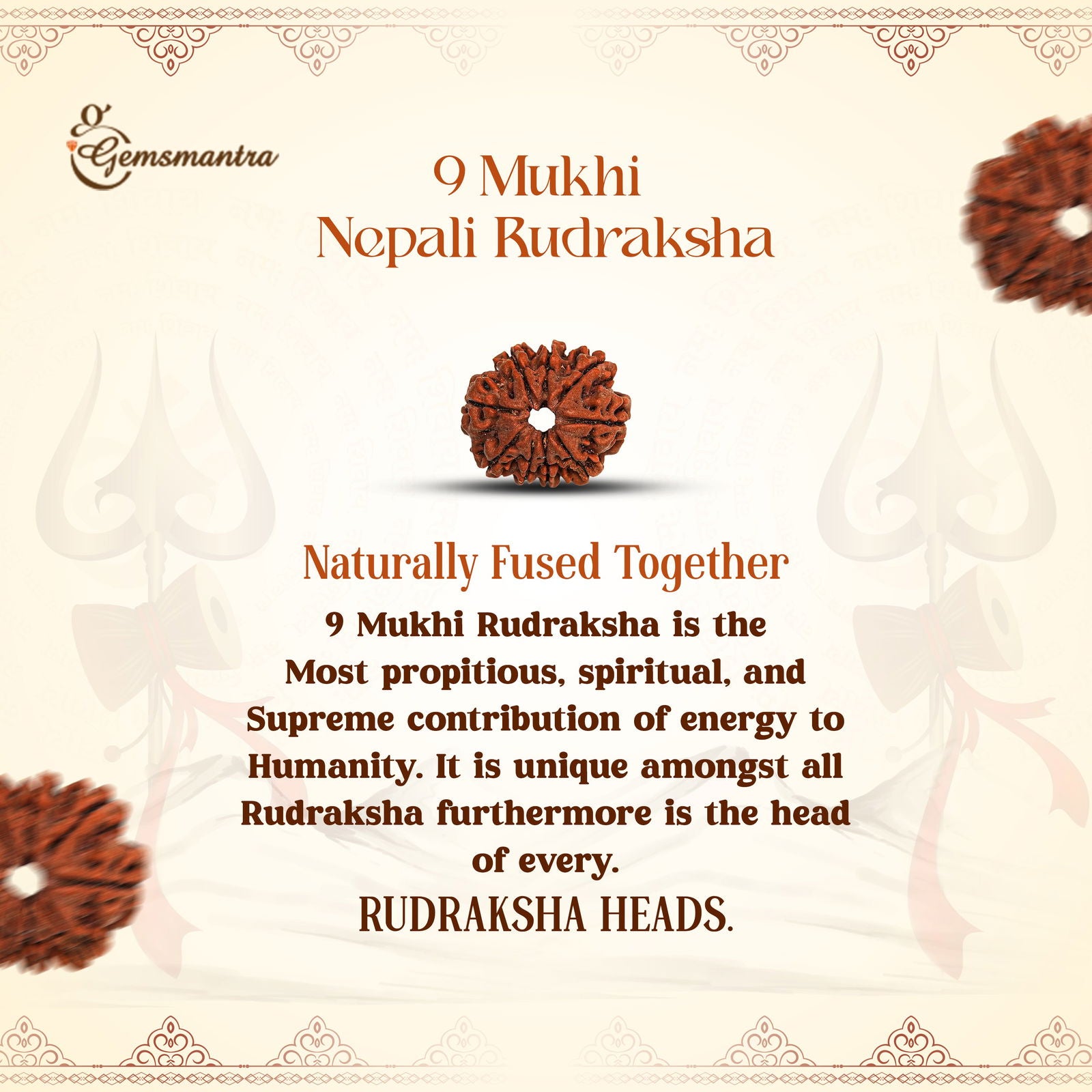 9 Mukhi Rudraksha (Nepali) - Gemsmantra