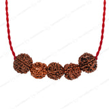 Arogya Raksha Kawach with Free Certification