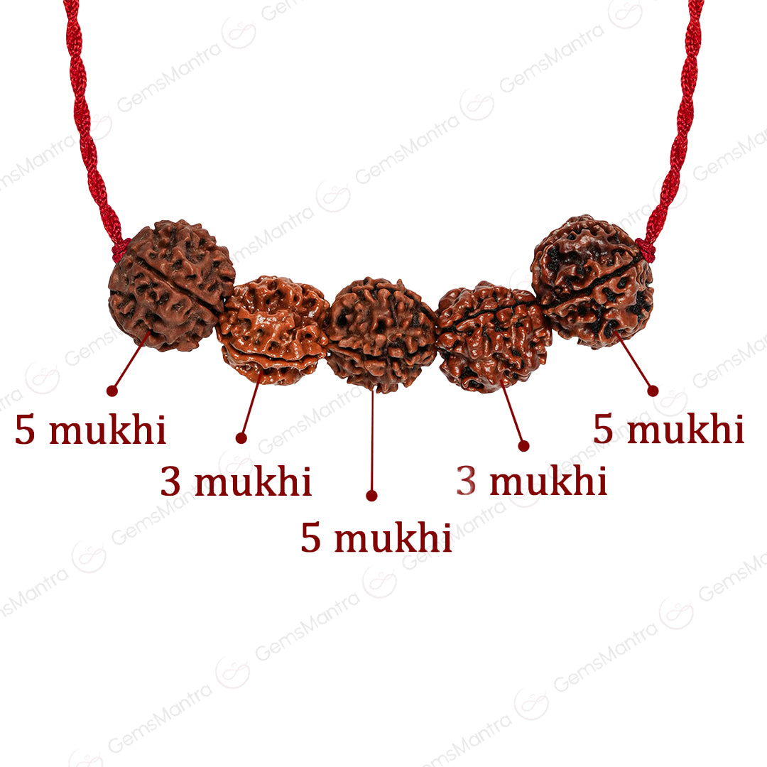 Arogya Raksha Kawach with Free Certification