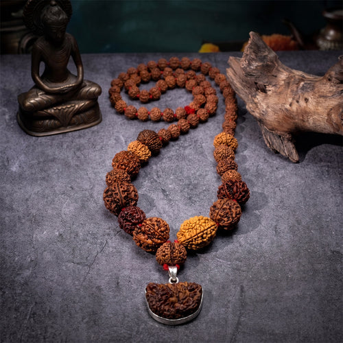 Siddha Mala – 1–14 Mukhi Indonesian Rudraksha Beads