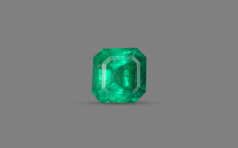 Emerald (Panna) - 8.76 Carats