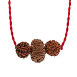 Vyapar Vriddhi Kavach – 7, 8 & 12 Mukhi Rudraksha