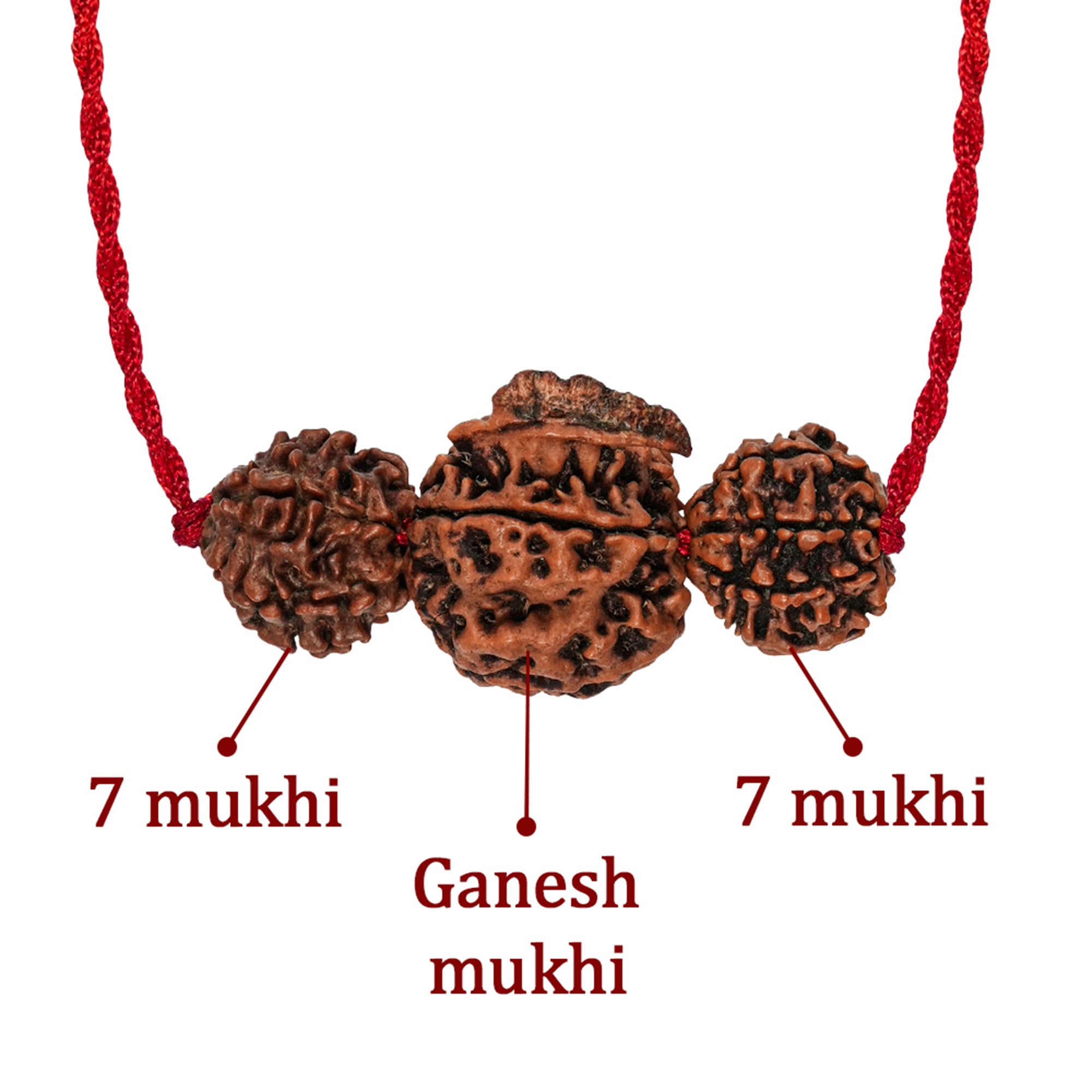 Dhan Laxmi Ganesh Kavach – 7 Mukhi + Ganesh Rudraksha