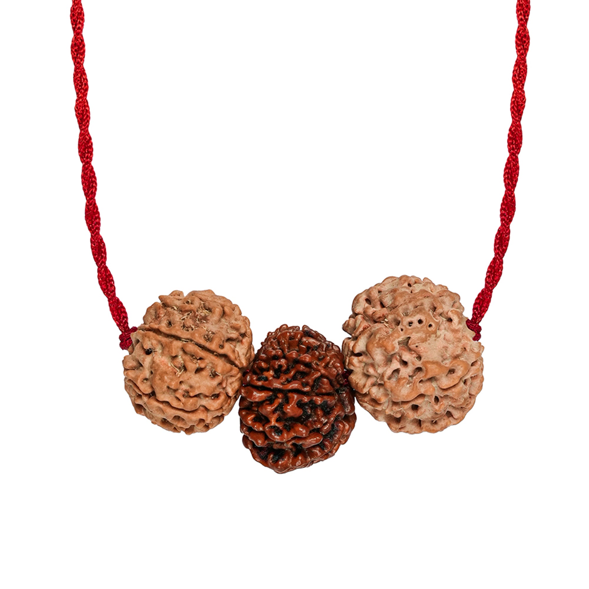 Aakarshan Vriddhi Kavach – 6 & 13 Mukhi Rudraksha