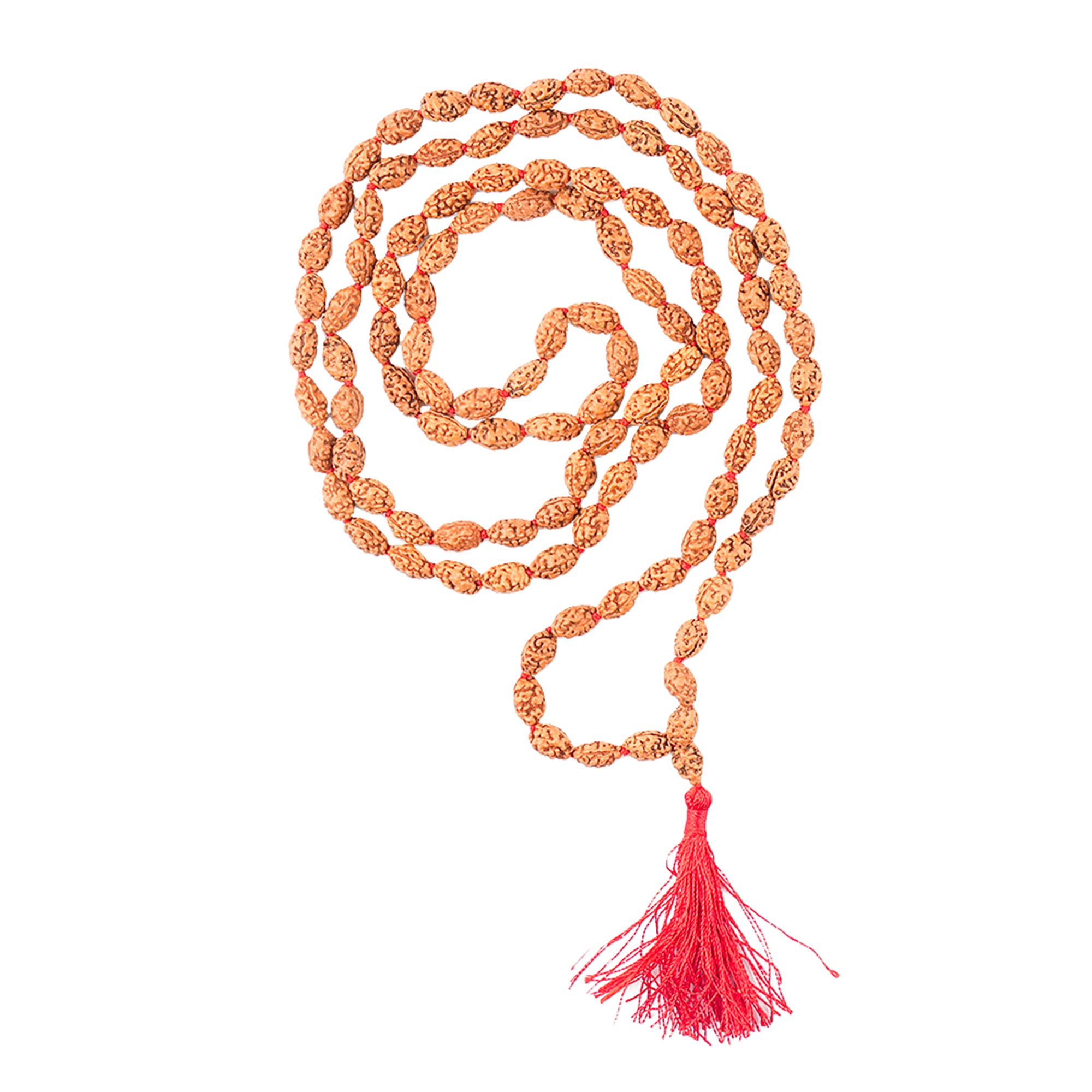 2 Mukhi Rudraksha Mala, for Japa