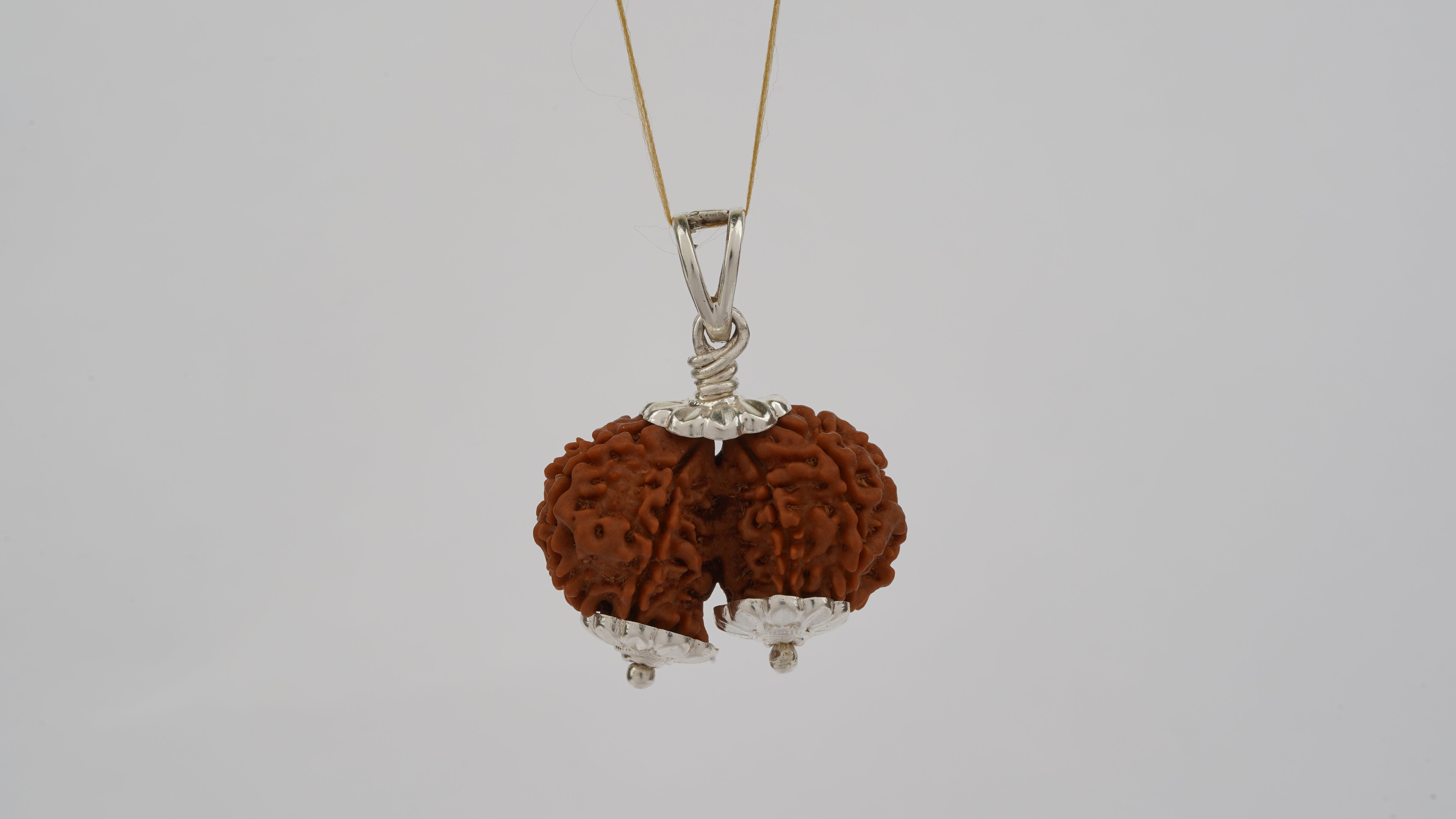 Natural Gauri Shankar Rudraksha