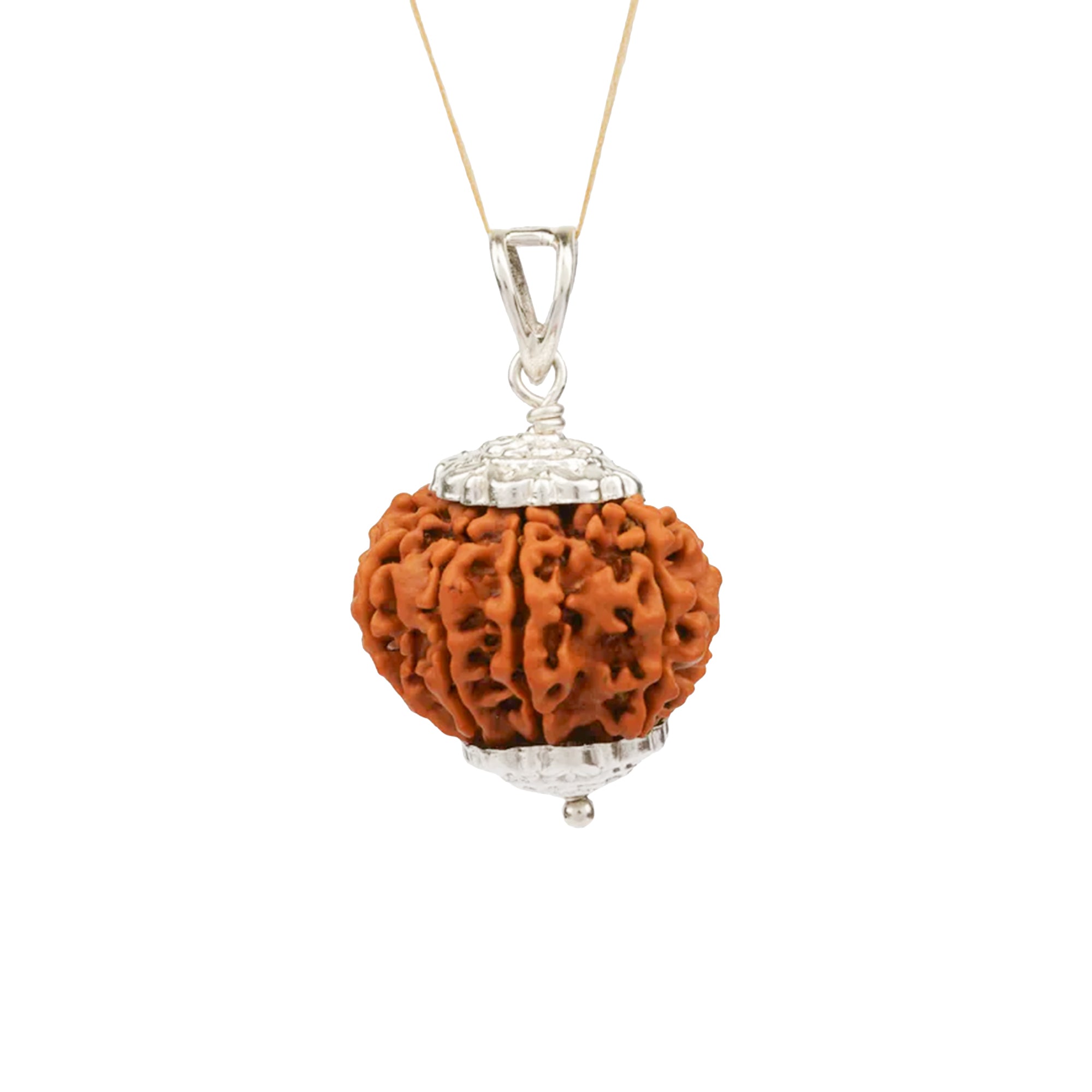 9 Mukhi Rudraksha – Original Nepali Bead