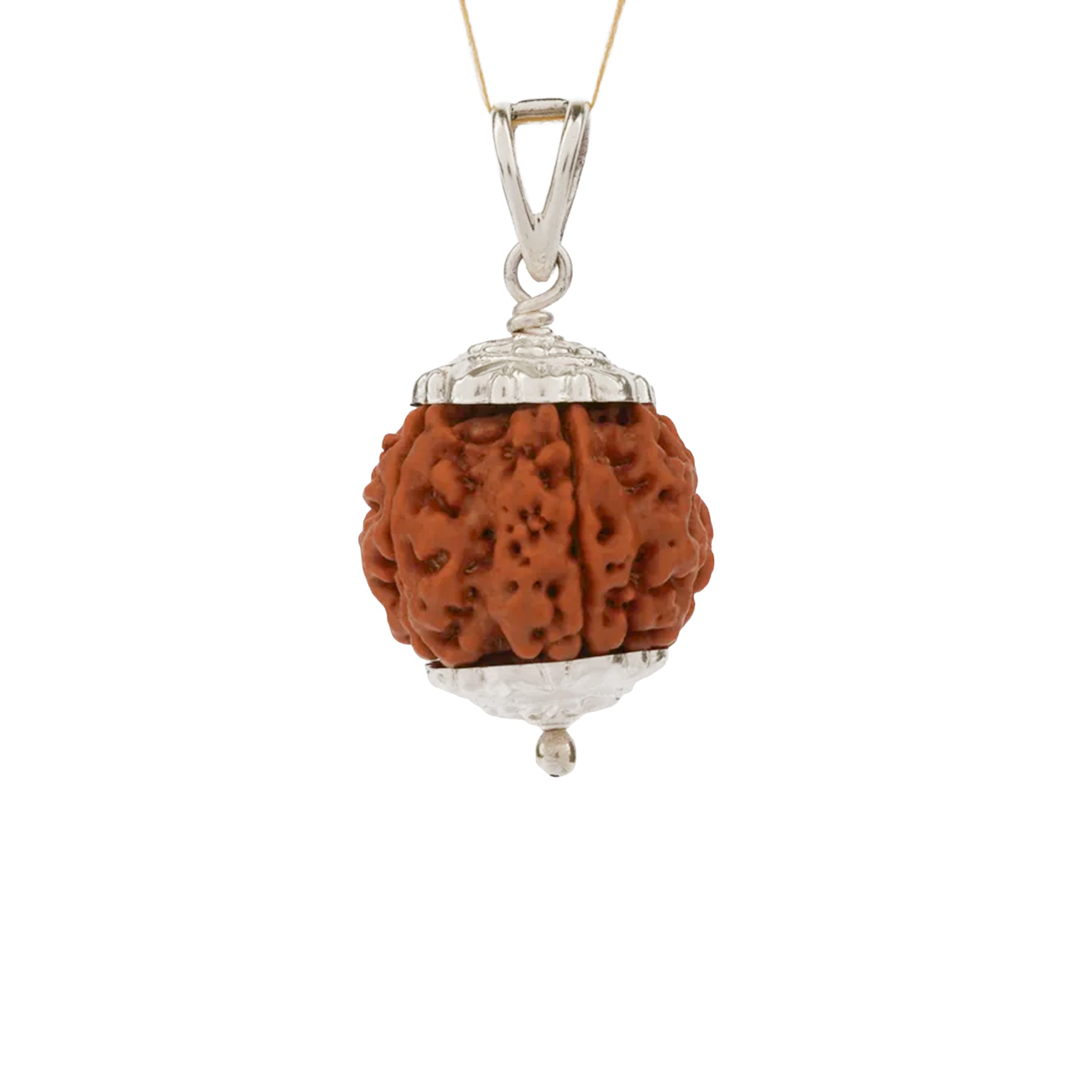 6 Mukhi Rudraksha – Original Nepali Bead