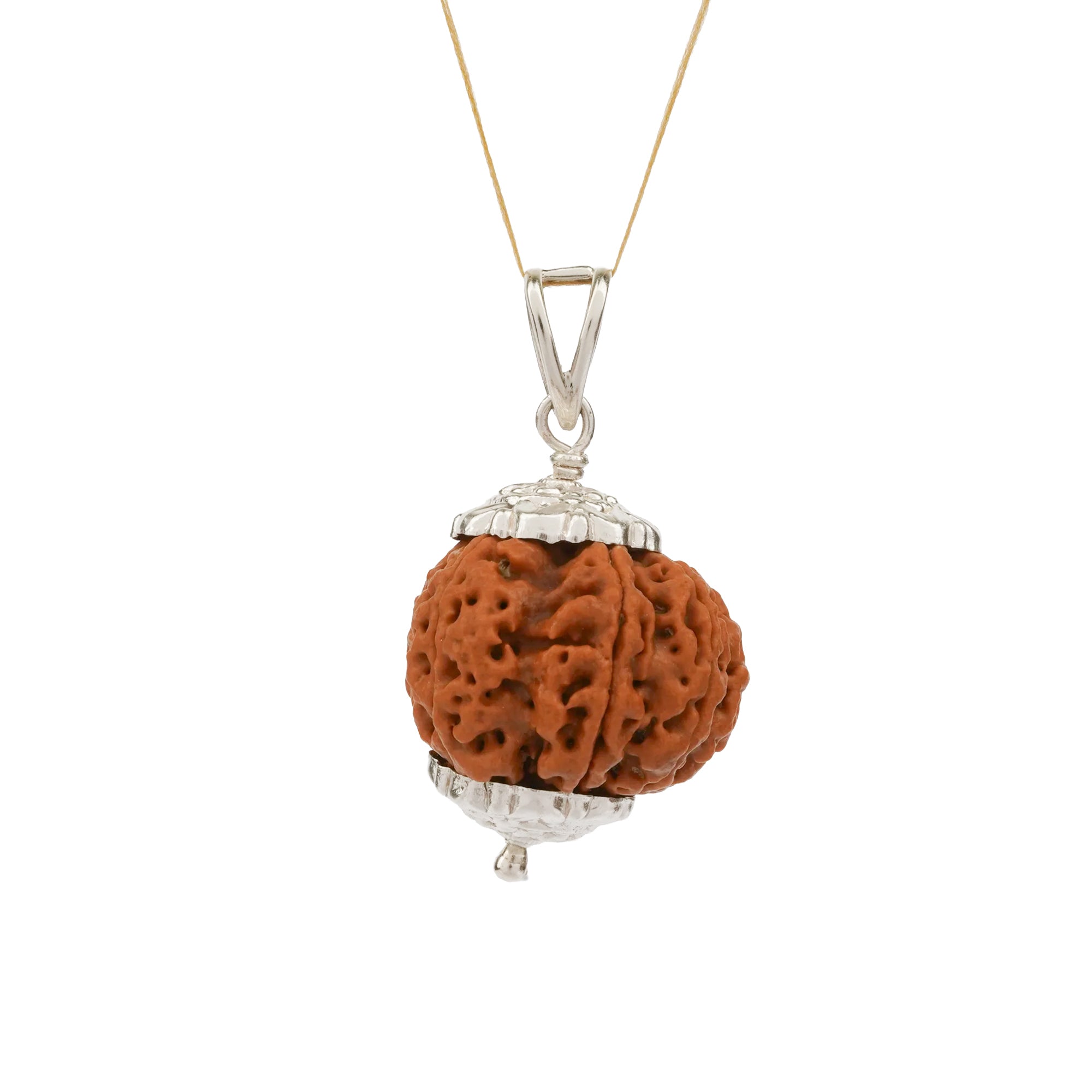 8 Mukhi Rudraksha – Original Nepali Bead