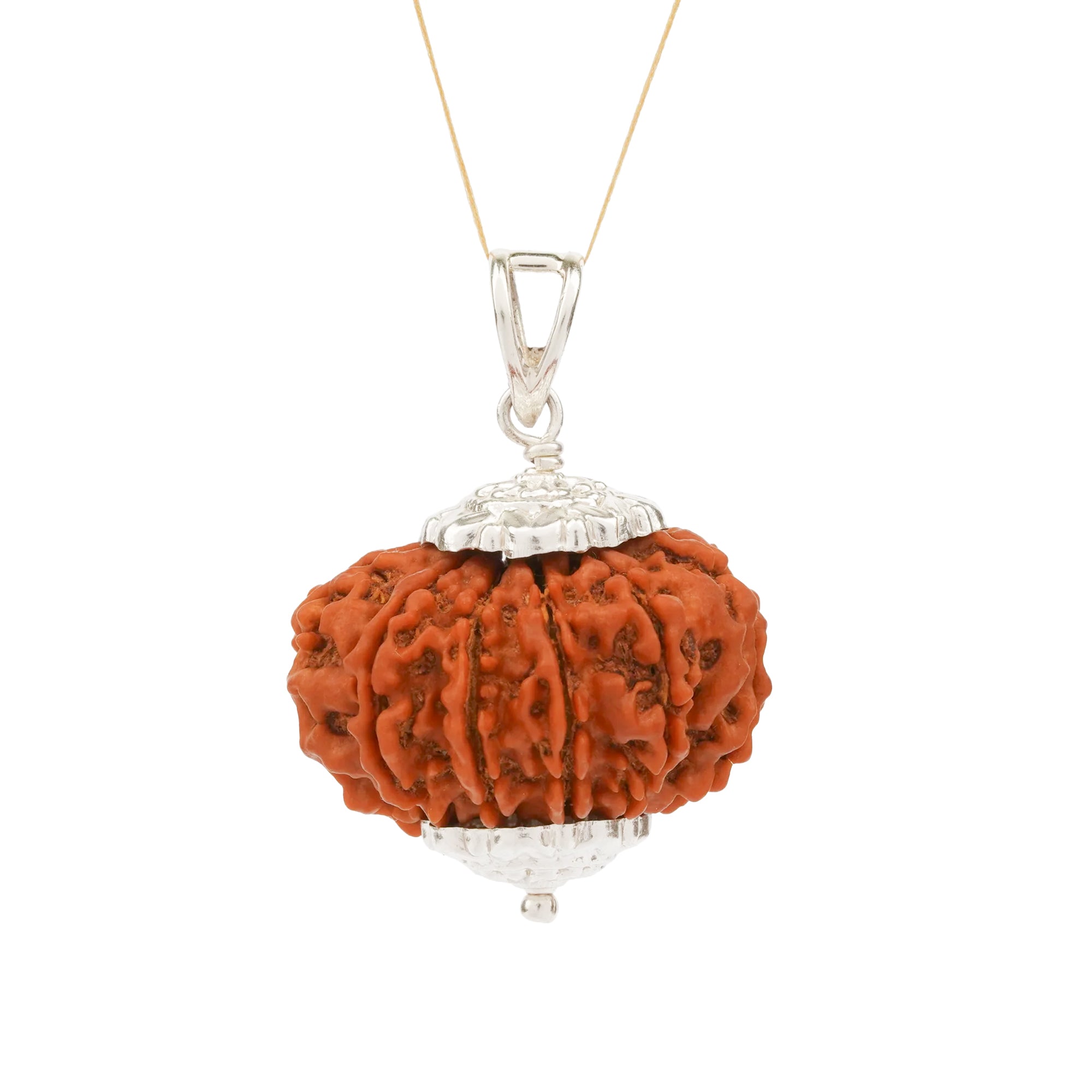 10 Mukhi Rudraksha – Original Nepali Bead