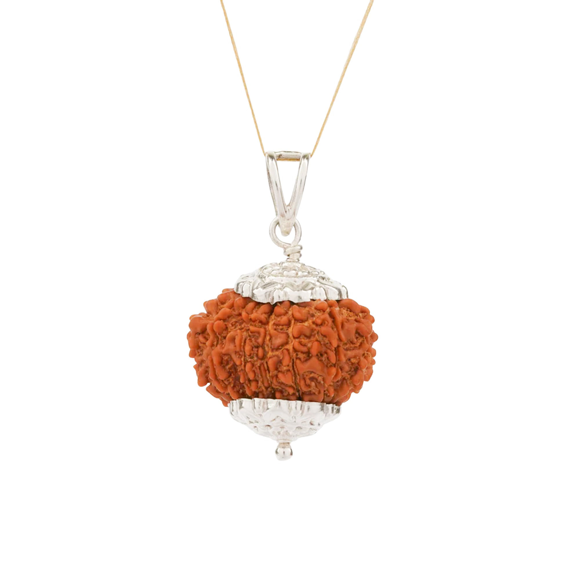 13 Mukhi Rudraksha – Original Nepali Bead