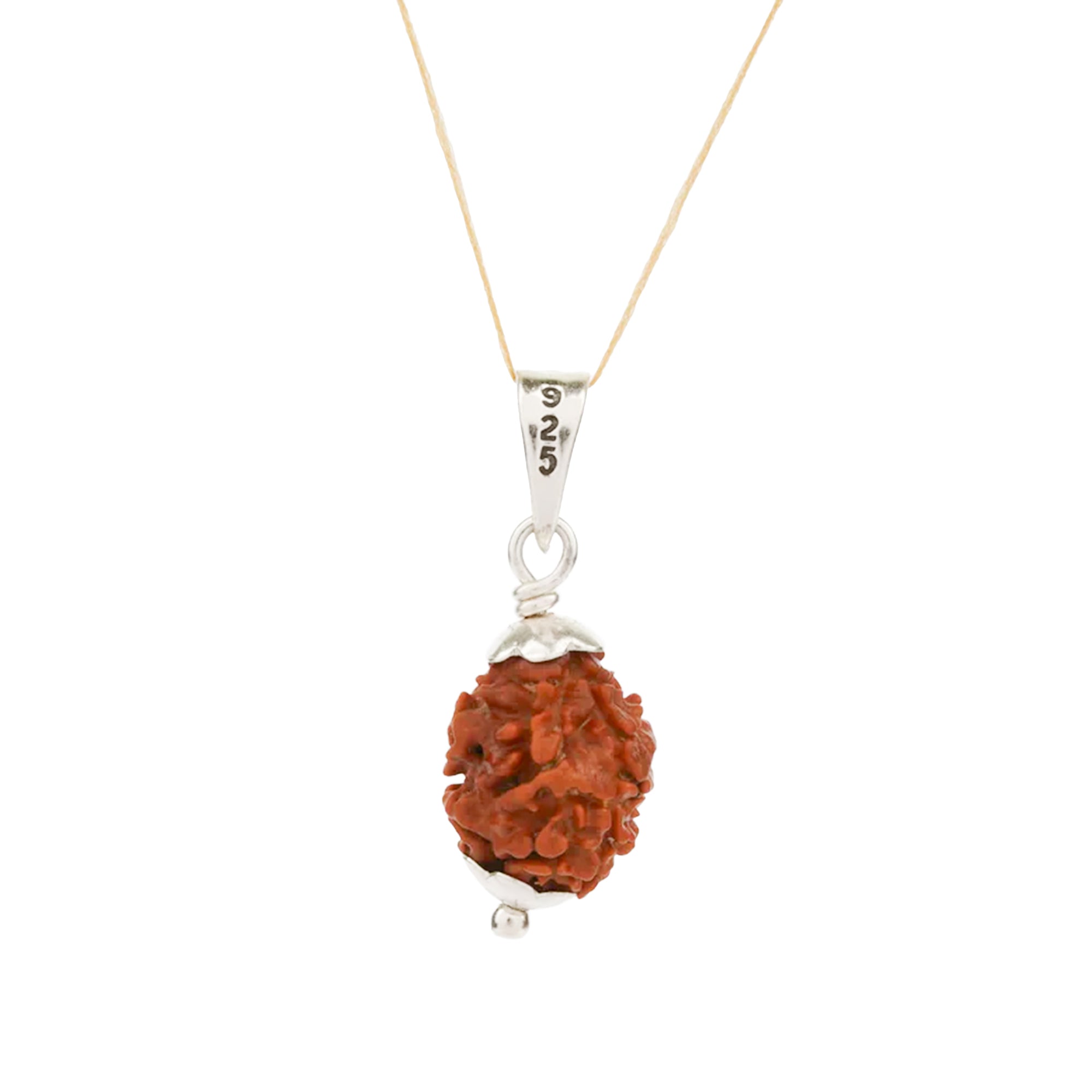 3 Mukhi Rudraksha – Original Nepali Bead