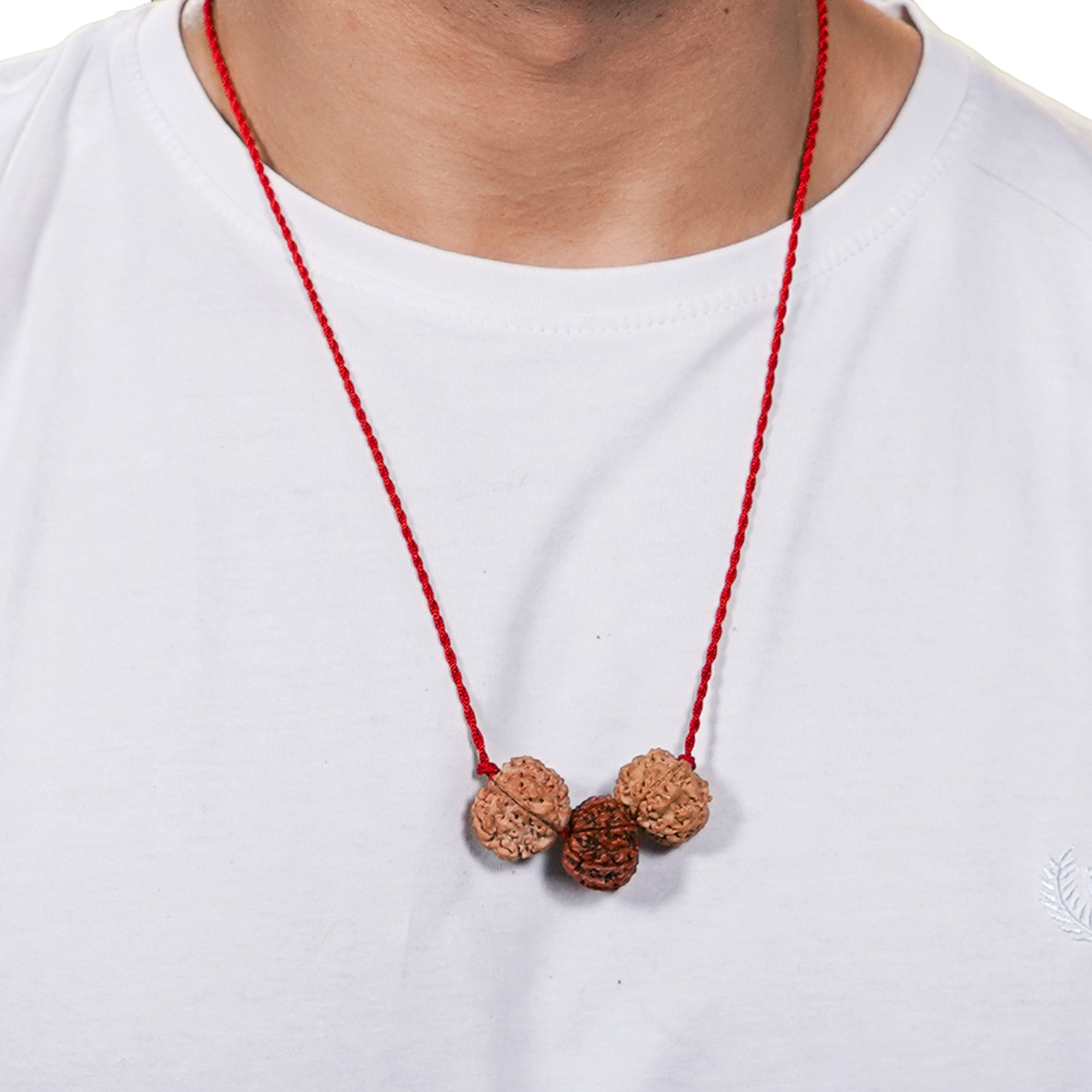 Aakarshan Vriddhi Kavach – 6 & 13 Mukhi Rudraksha