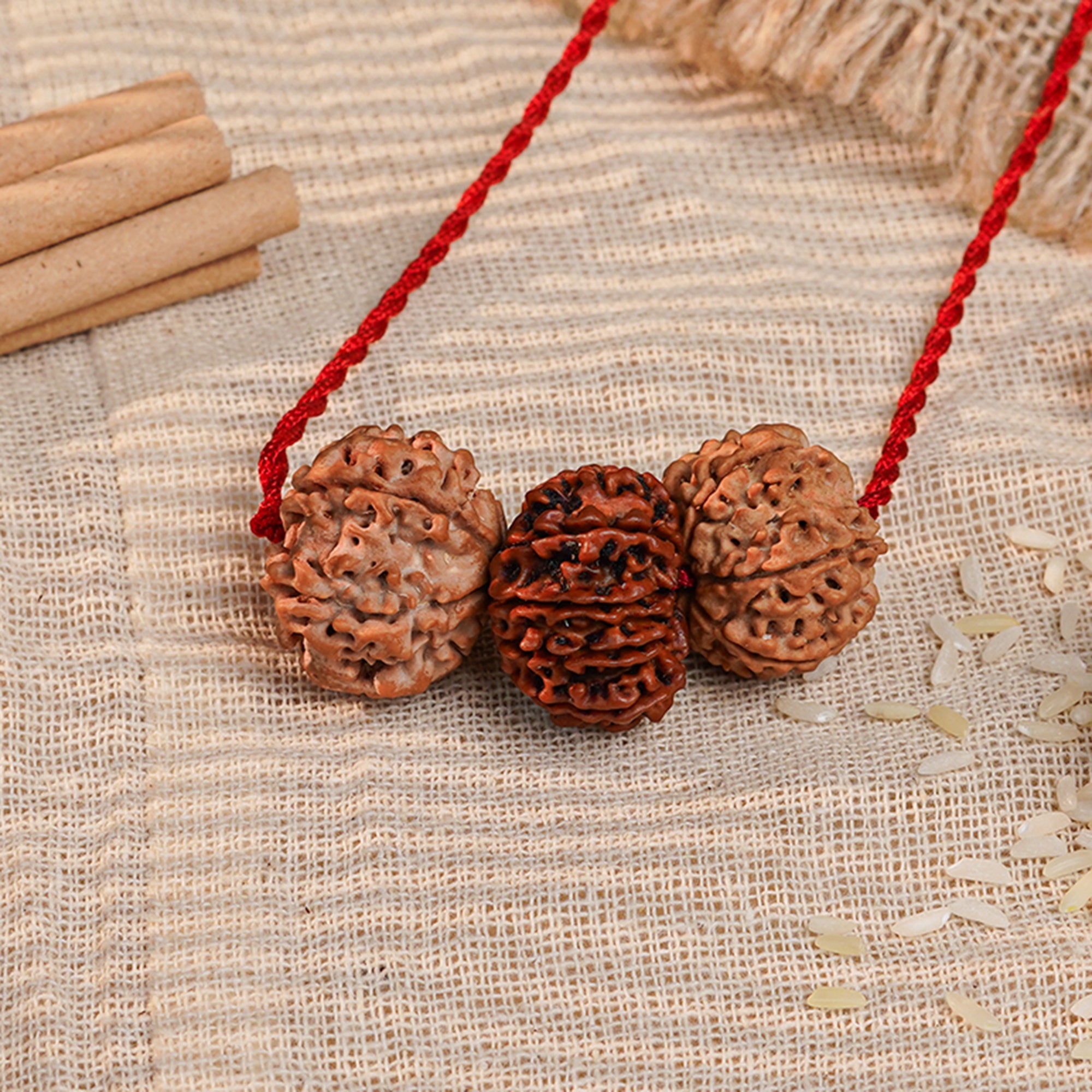 Aakarshan Vriddhi Kavach – 6 & 13 Mukhi Rudraksha