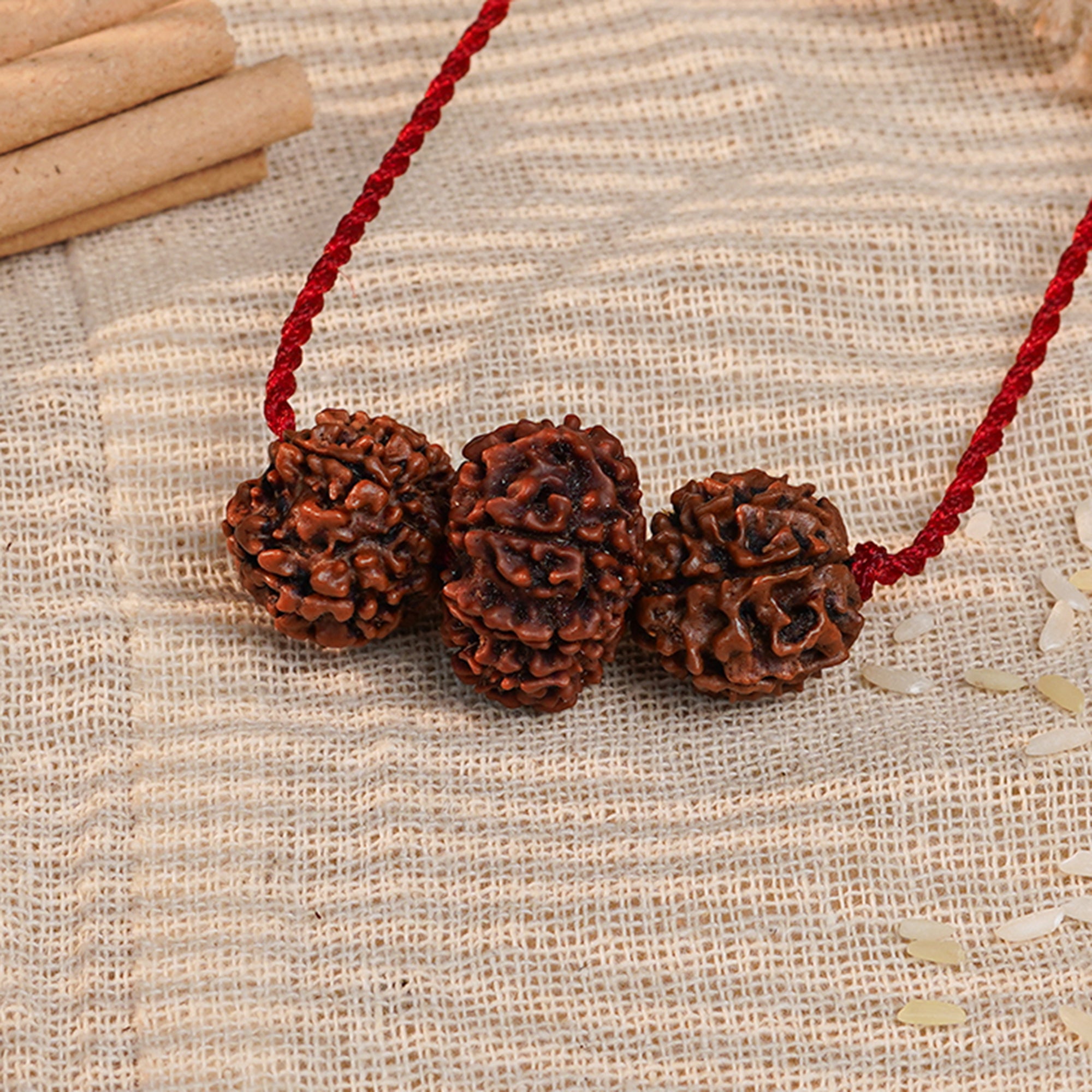 Shakti Kavach – 7 & 9 Mukhi Rudraksha