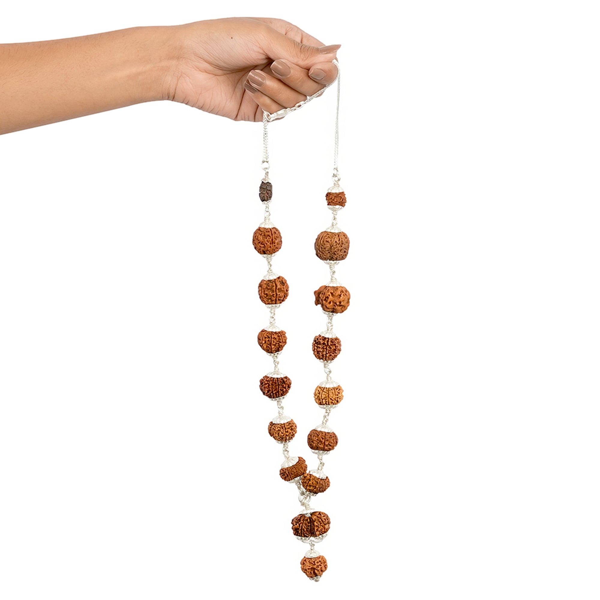 1-14 Mukhi Rudraksha Mala (Siddha Mala)