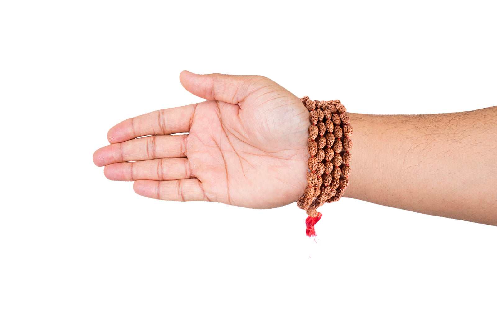 3 Mukhi Japa Rudraksha Mala