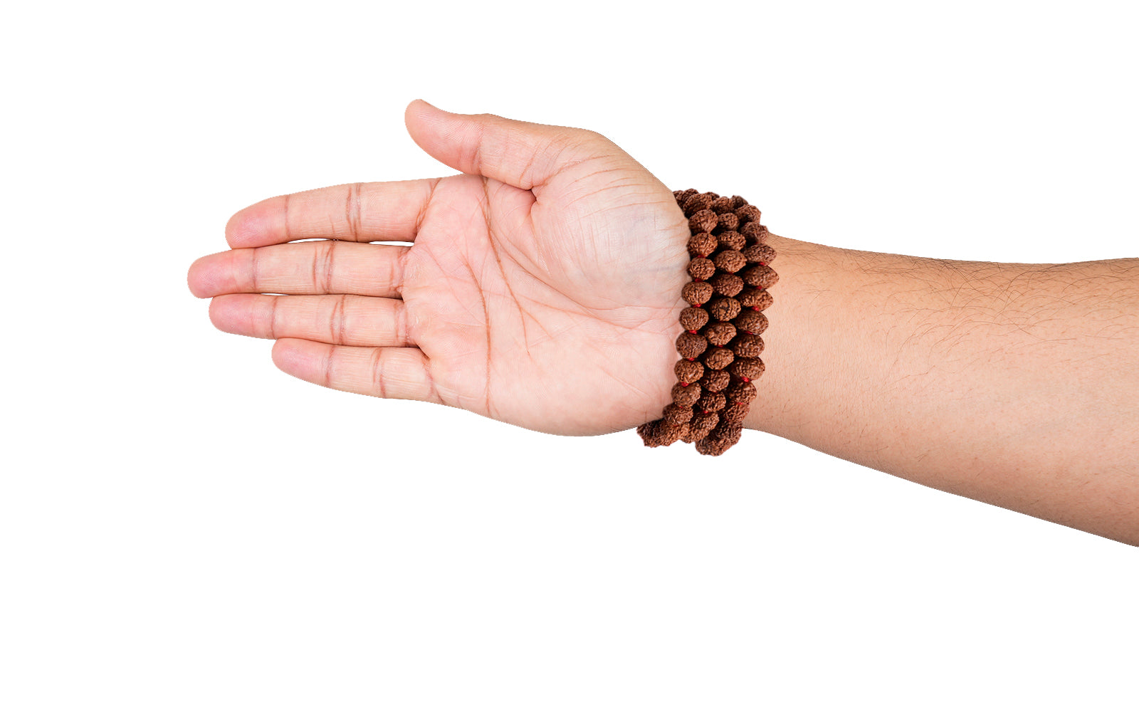 7 Mukhi Japa Rudraksha Mala