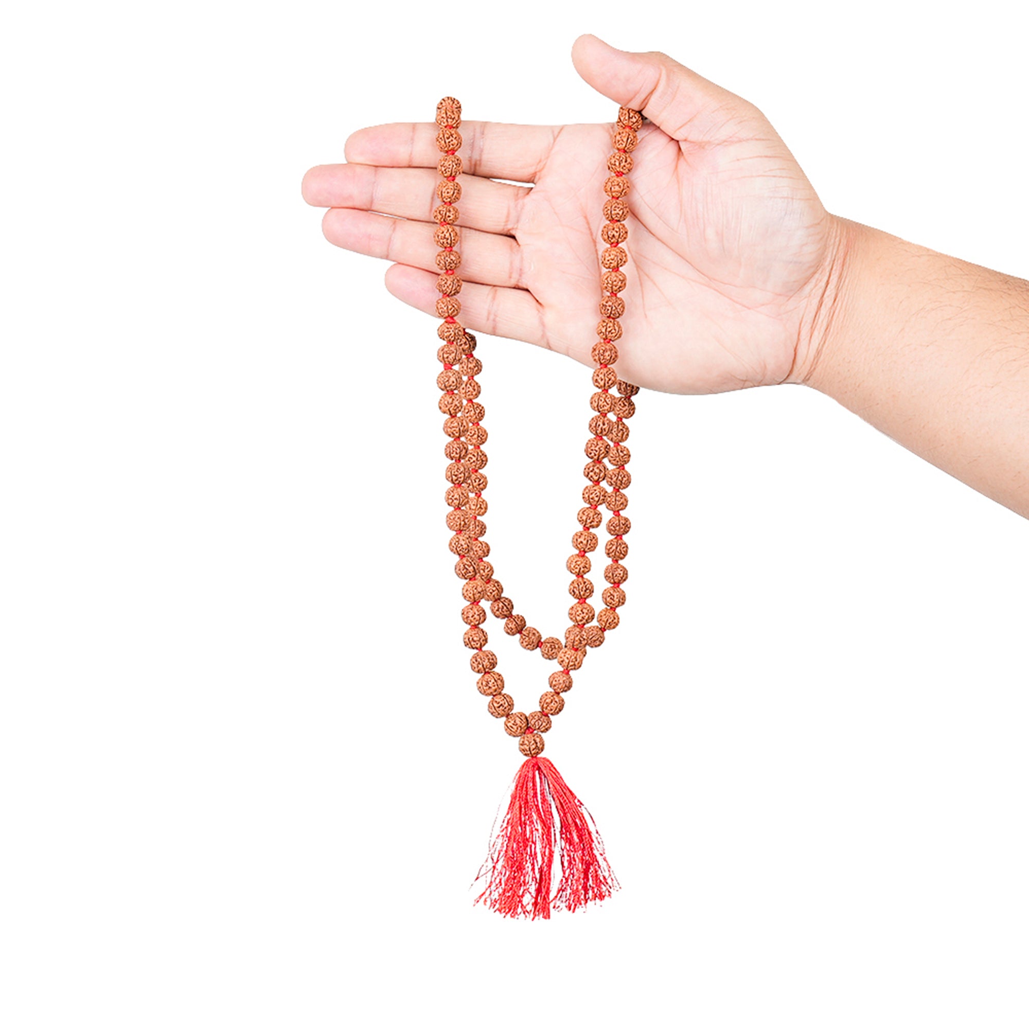 6 Mukhi Rudraksha Mala, for Japa