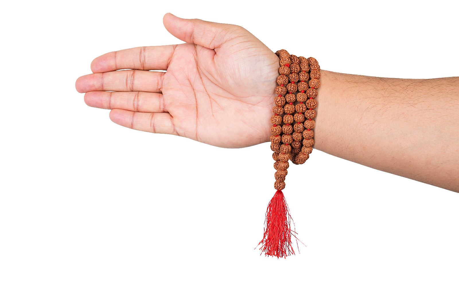 6 Mukhi Japa Rudraksha Mala