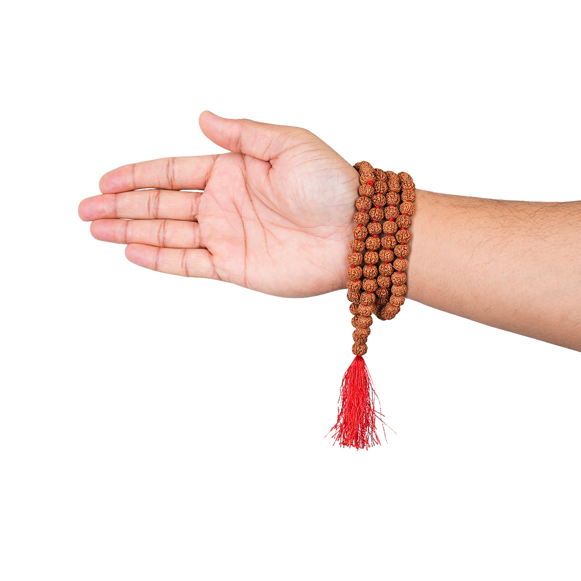 6 Mukhi Rudraksha Mala, for Japa