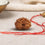 Natural 16 Mukhi Rudraksha (Nepali)