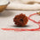 Natural 18 Mukhi Rudraksha (Nepali)