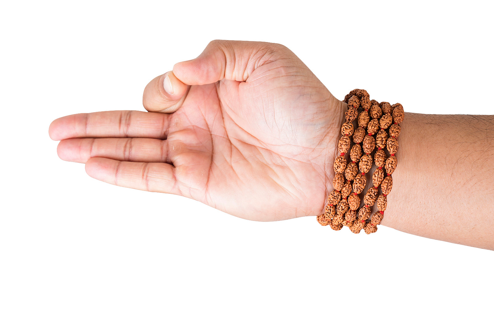 2 Mukhi Japa Rudraksha Mala