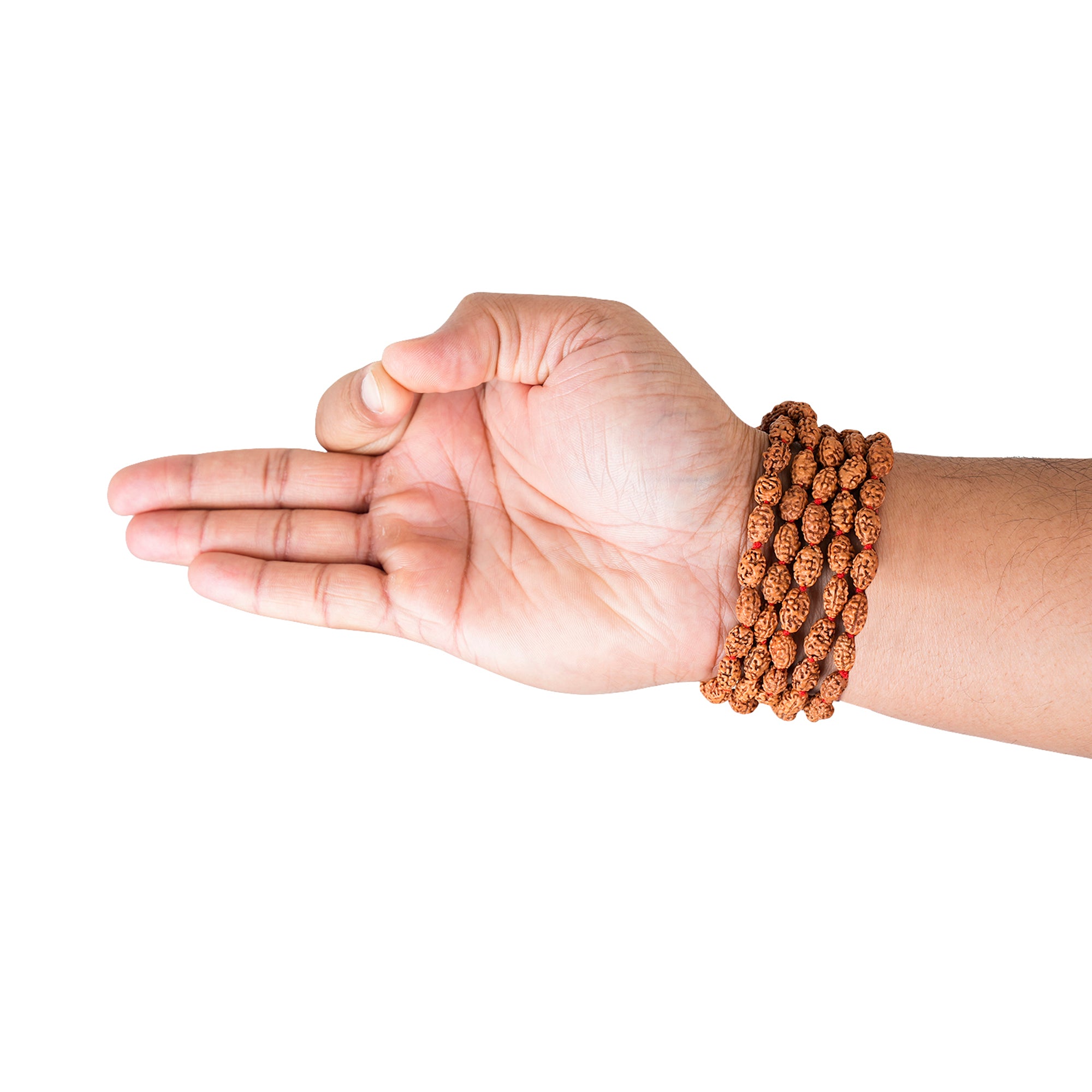 2 Mukhi Rudraksha Mala, for Japa