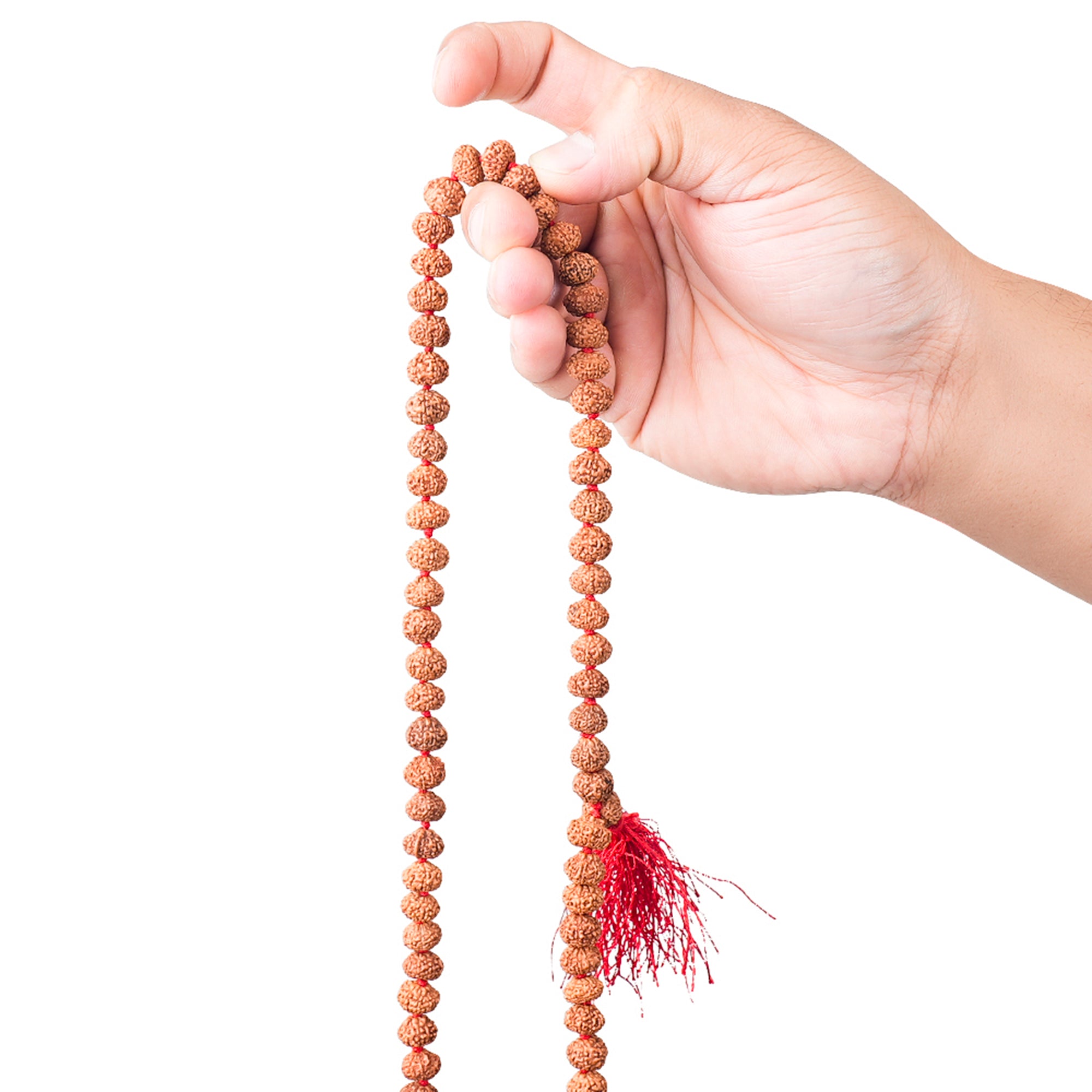 7 Mukhi Rudraksha Mala – 108 Nepali Beads, for Japa