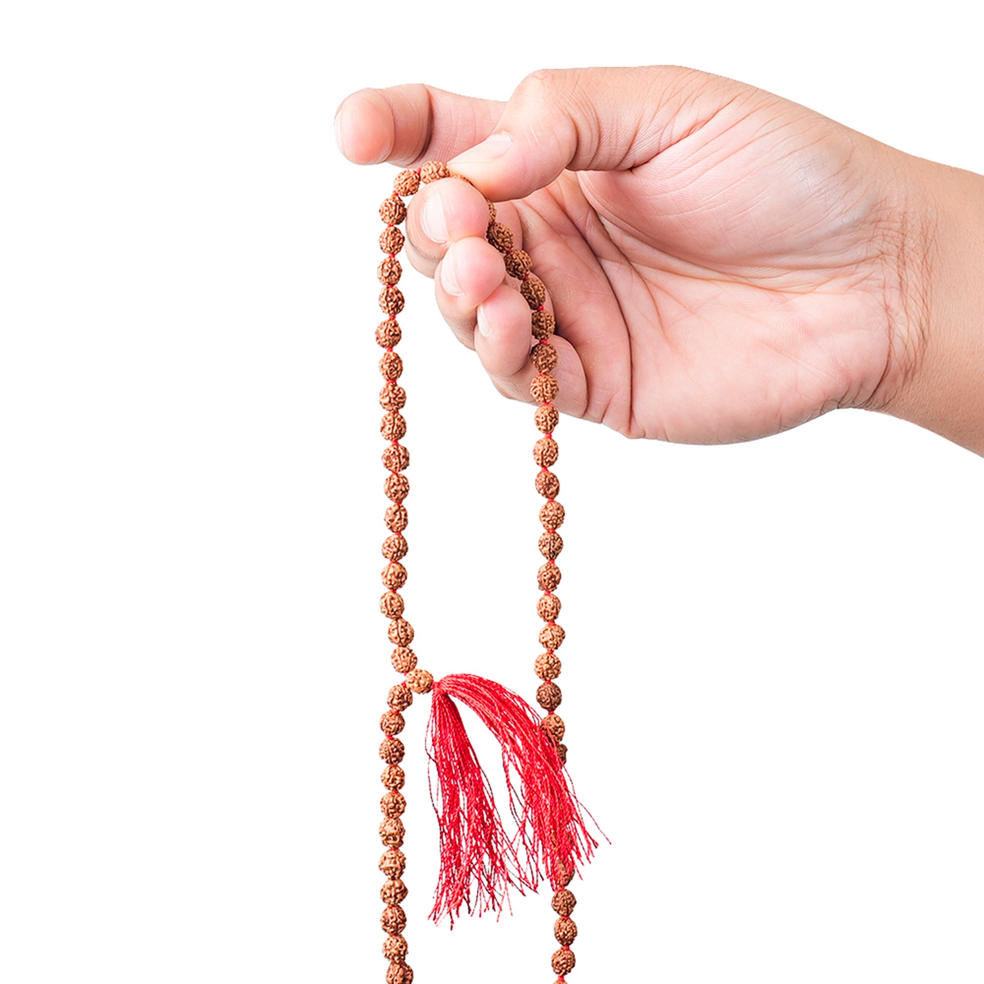 2 Mukhi Rudraksha Mala, for Japa