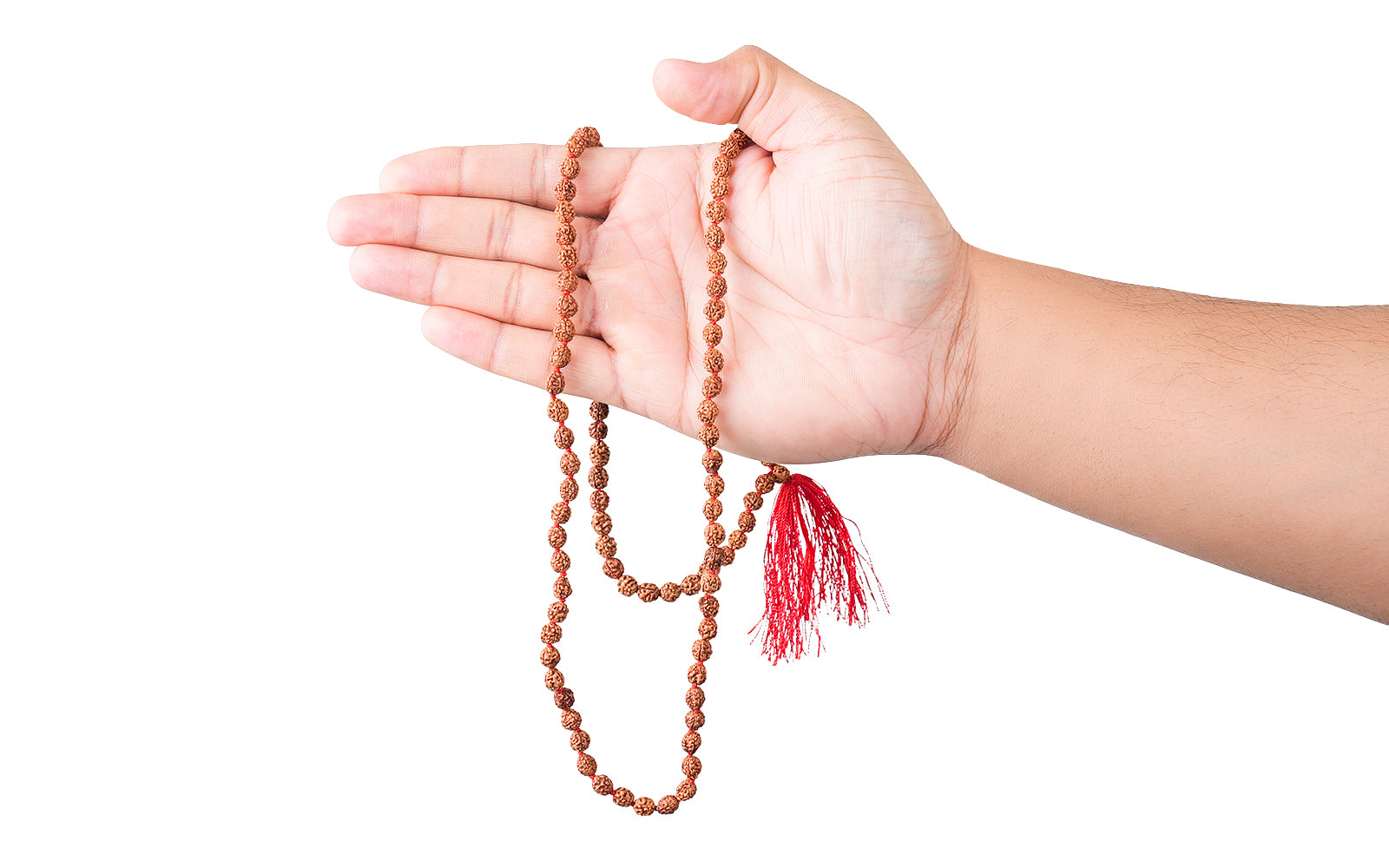 2 Mukhi Japa Rudraksha Mala