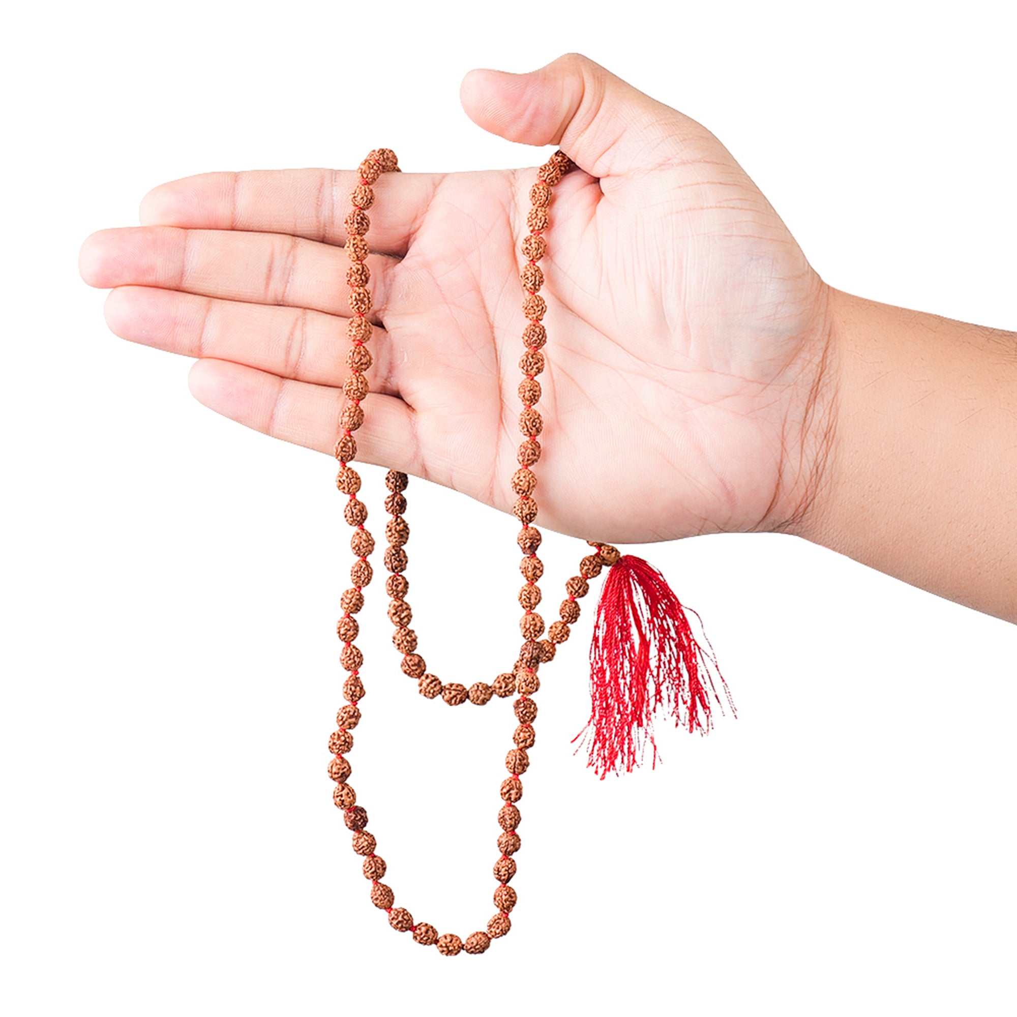 2 Mukhi Rudraksha Mala, for Japa