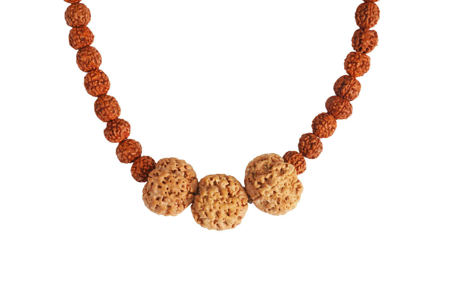 Vidya Vriddhi Mala - 4 Mukhi and 5 Mukhi Rudraksha