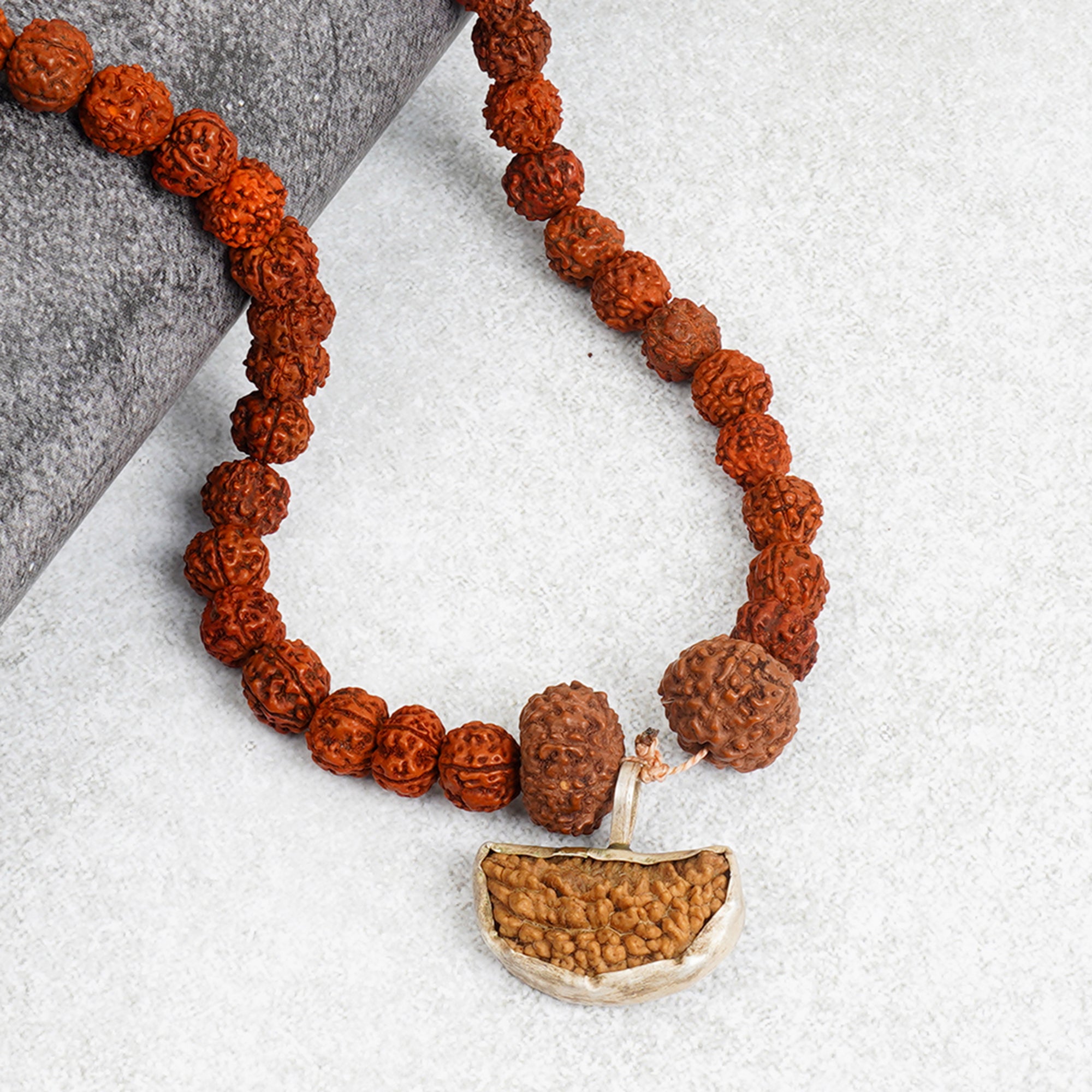 Dhanlaxmi Vriddhi Mala - 1 Mukhi and 9 Mukhi Rudraksha