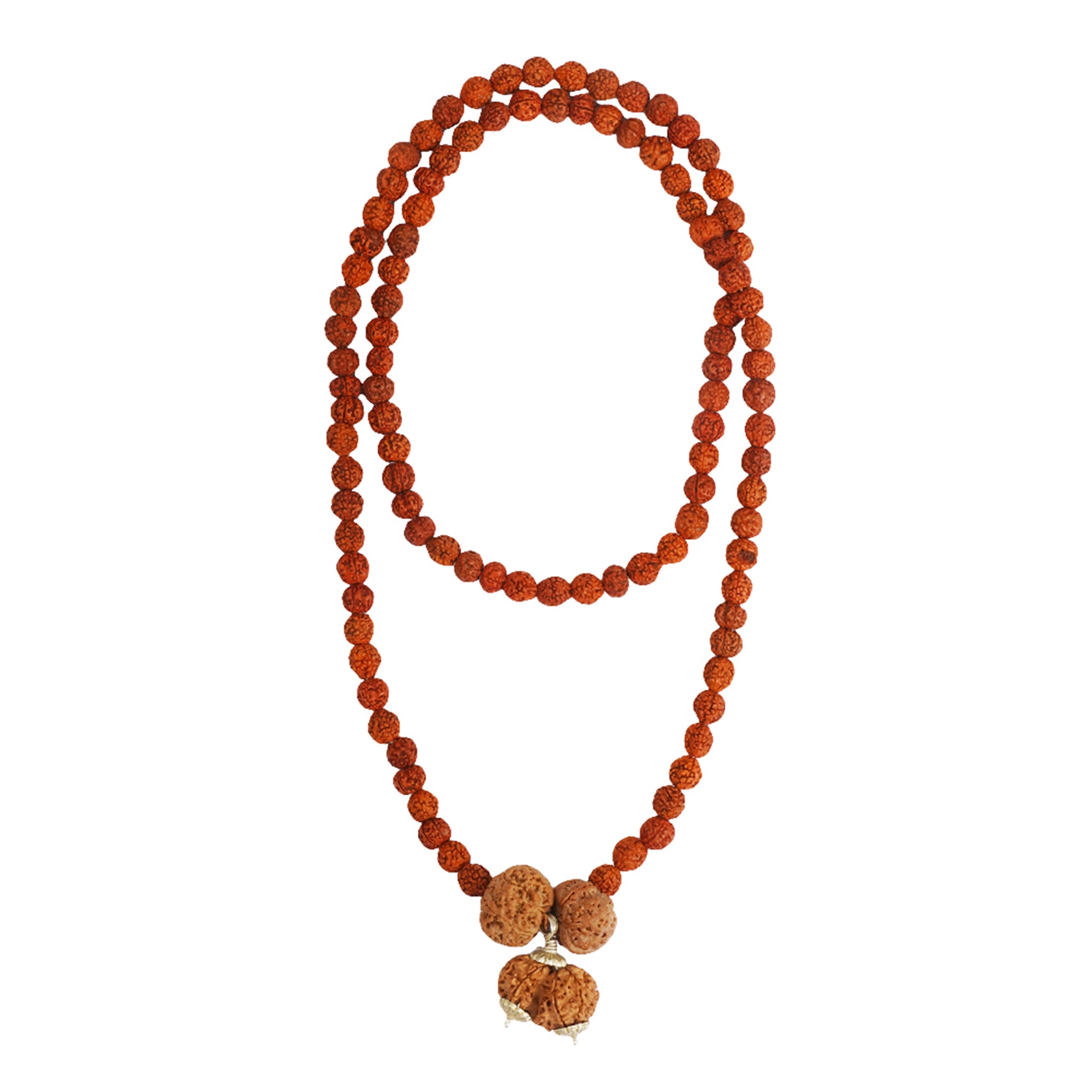 Prem Vriddhi Mala - 6 Mukhi, 7 Mukhi and Gauri Shankar Rudraksha (AB)