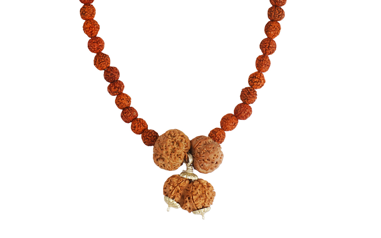 Prem Vriddhi Mala - 6 Mukhi, 7 Mukhi and Gauri Shankar Rudraksha (AB)