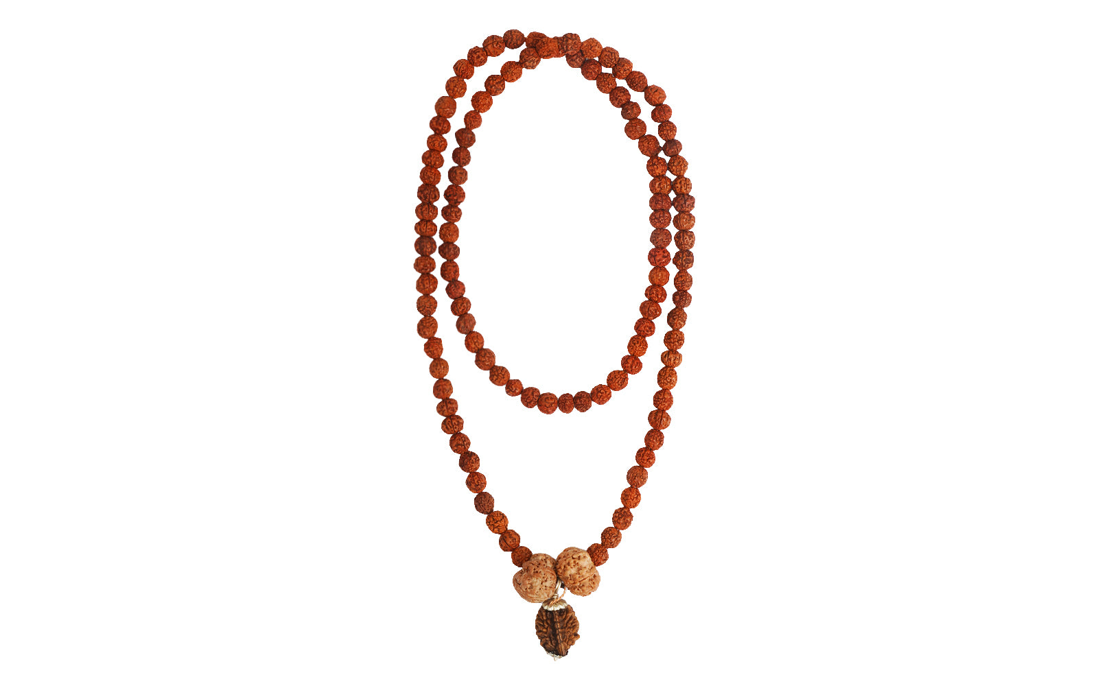 Swasth Vriddhi Mala - 7 Mukhi and 2 Mukhi Rudraksha