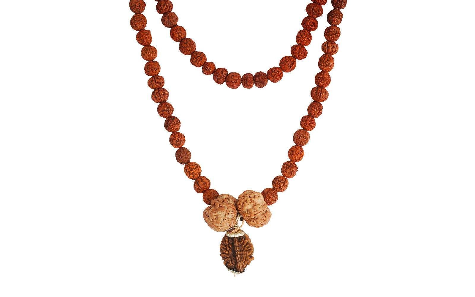 Swasth Vriddhi Mala - 7 Mukhi and 2 Mukhi Rudraksha