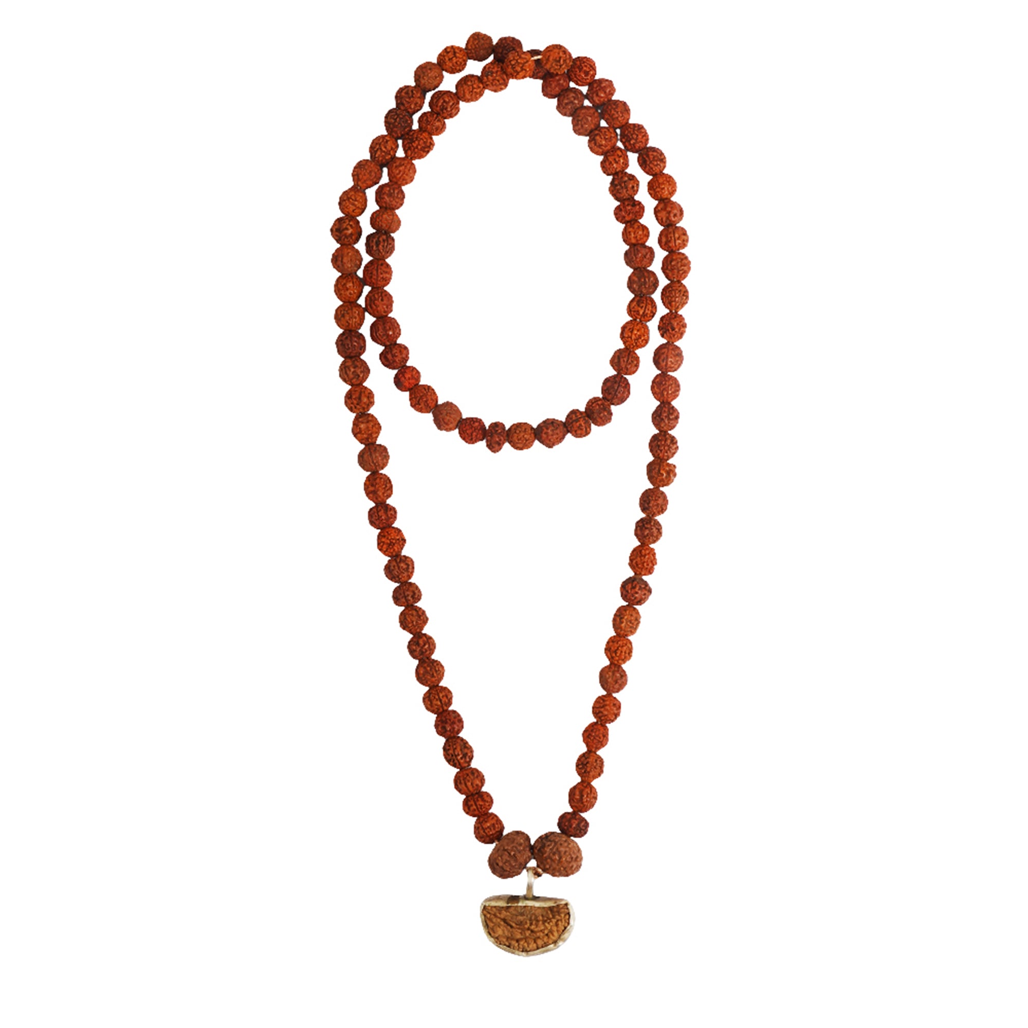Dhanlaxmi Vriddhi Mala - 1 Mukhi and 9 Mukhi Rudraksha