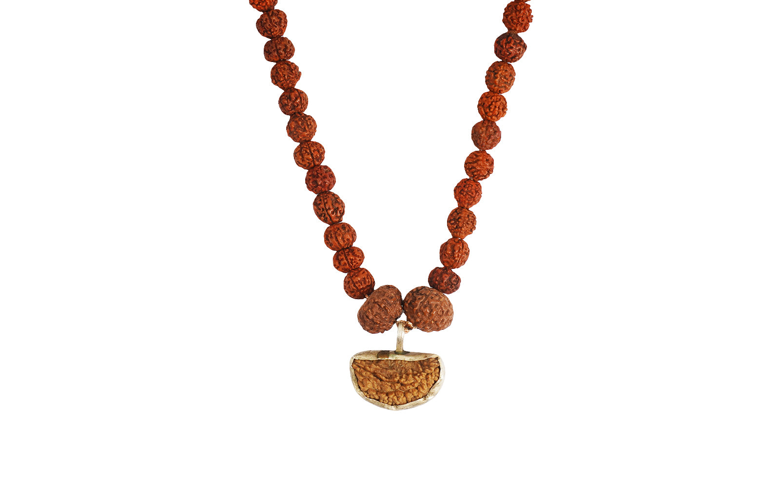 Dhanlaxmi Vriddhi Mala - 1 Mukhi and 9 Mukhi Rudraksha