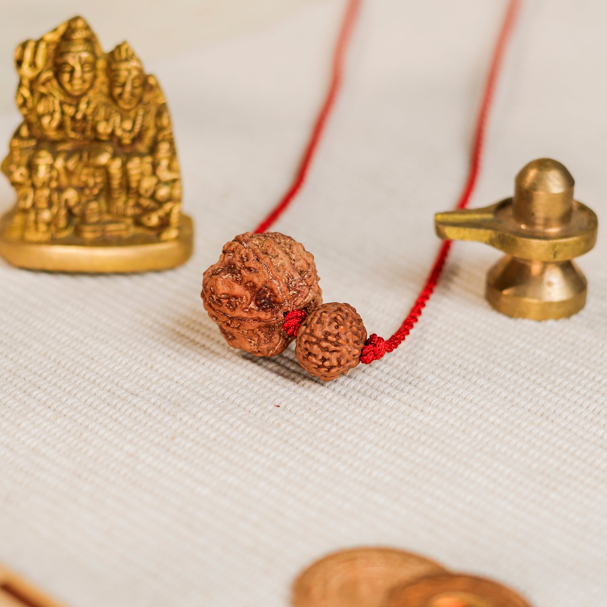 Pisces Zodiac Kavach