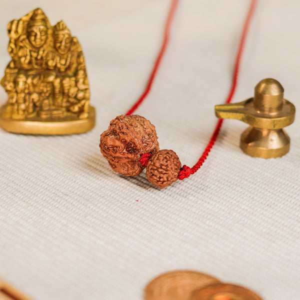 Pisces Zodiac Rudraksha Kavach