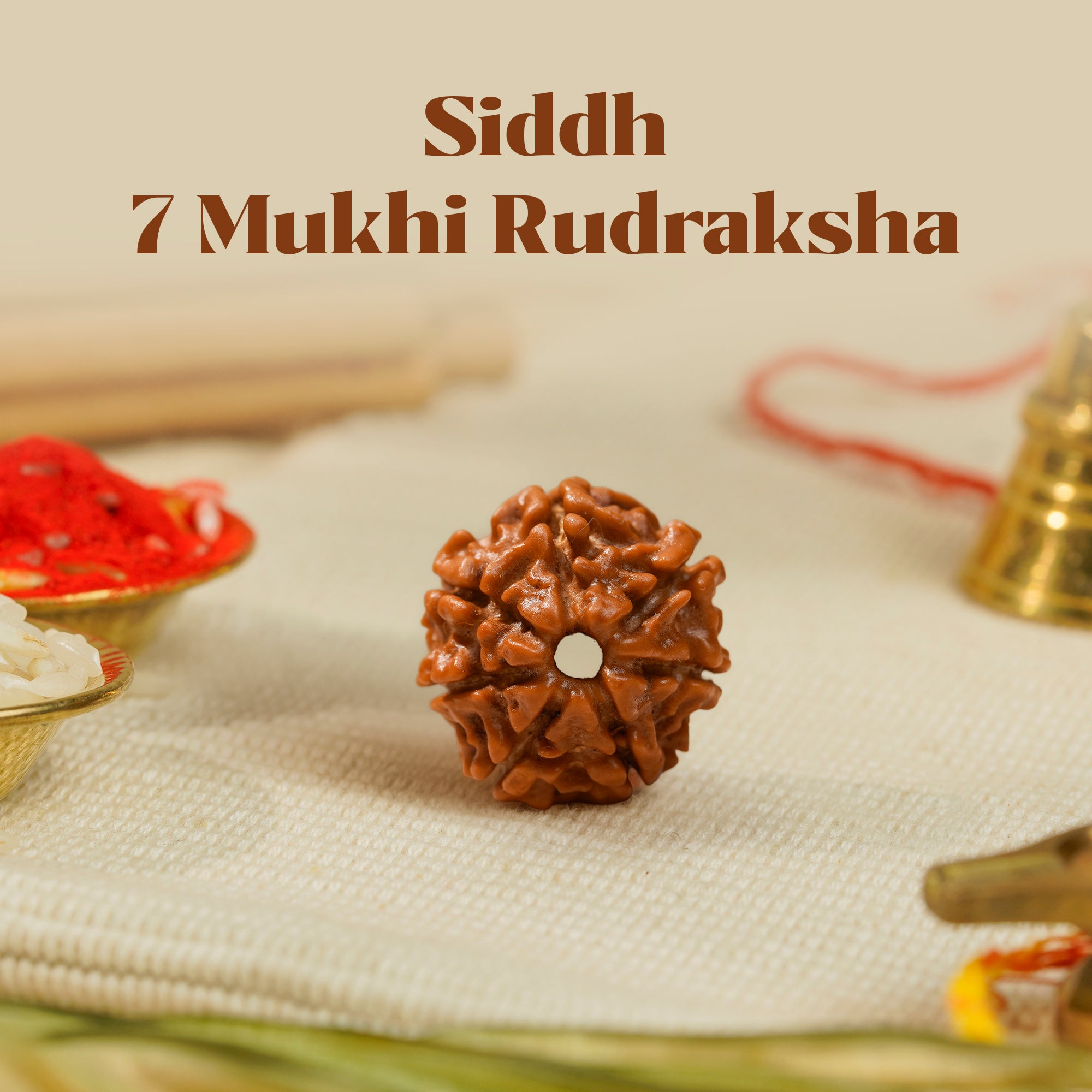 7 Mukhi Rudraksha – Kashi Siddh Ritual Energized Nepali Bead