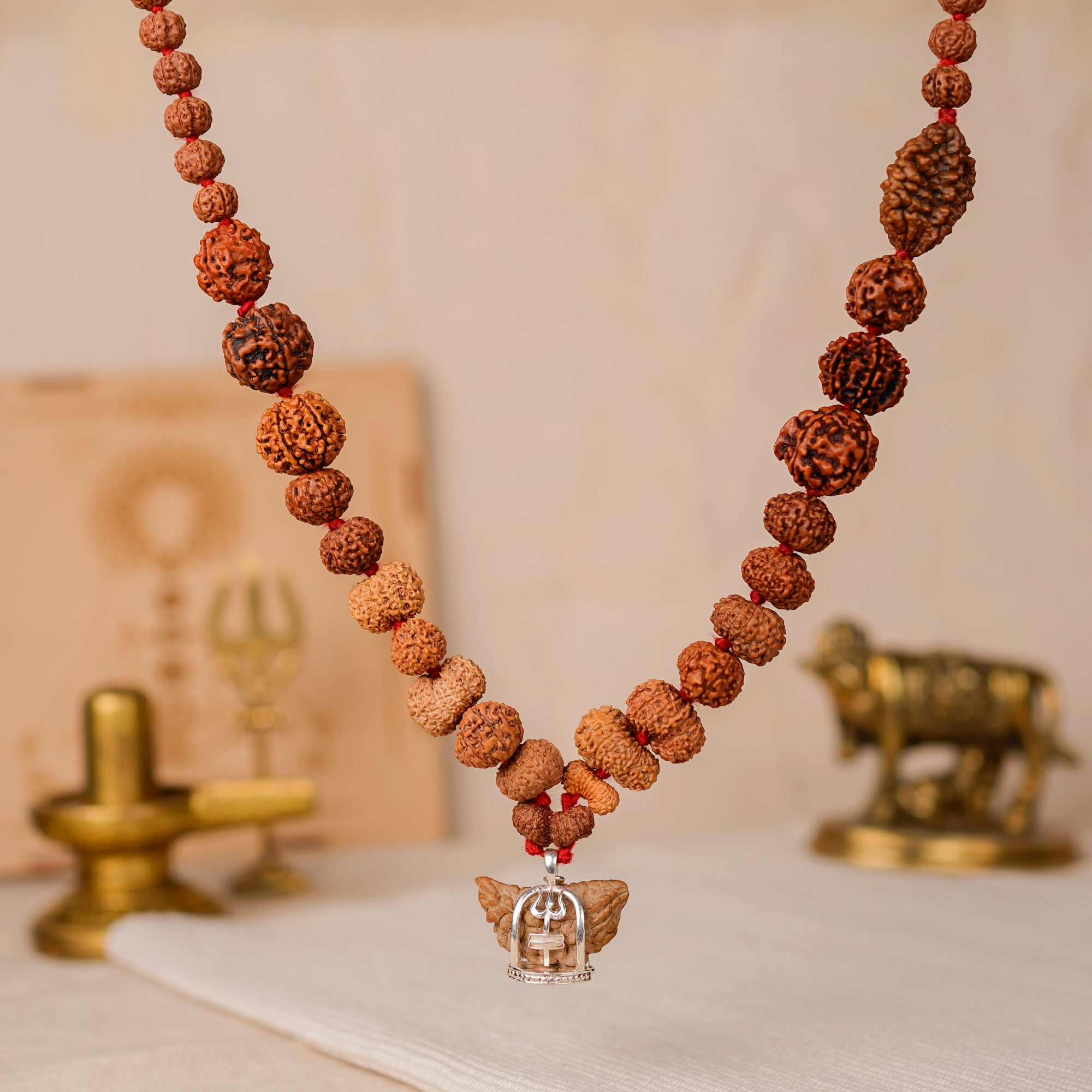 Indrani Siddhi Mala | 1–21 Mukhi Rudraksha with Gauri Shankar & Ganesh | Mixed Origin (Indian, Nepal & Indonesian) | Lab Tested & Energised