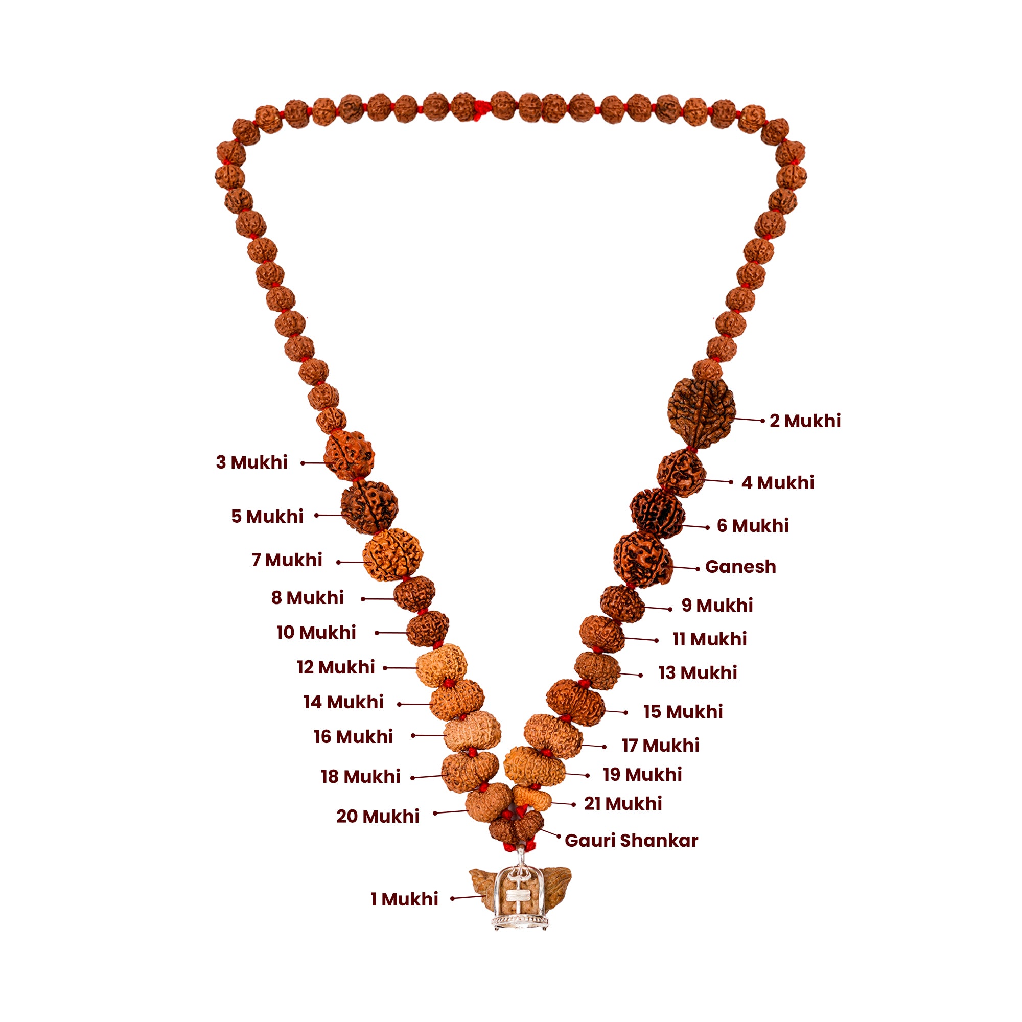 Indrani Siddhi Mala | 1–21 Mukhi Rudraksha with Gauri Shankar & Ganesh | Mixed Origin (Indian, Nepal & Indonesian) | Lab Tested & Energised